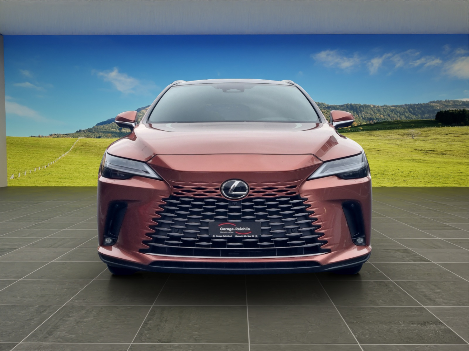 LEXUS RX 450h+ Excellence-image-7