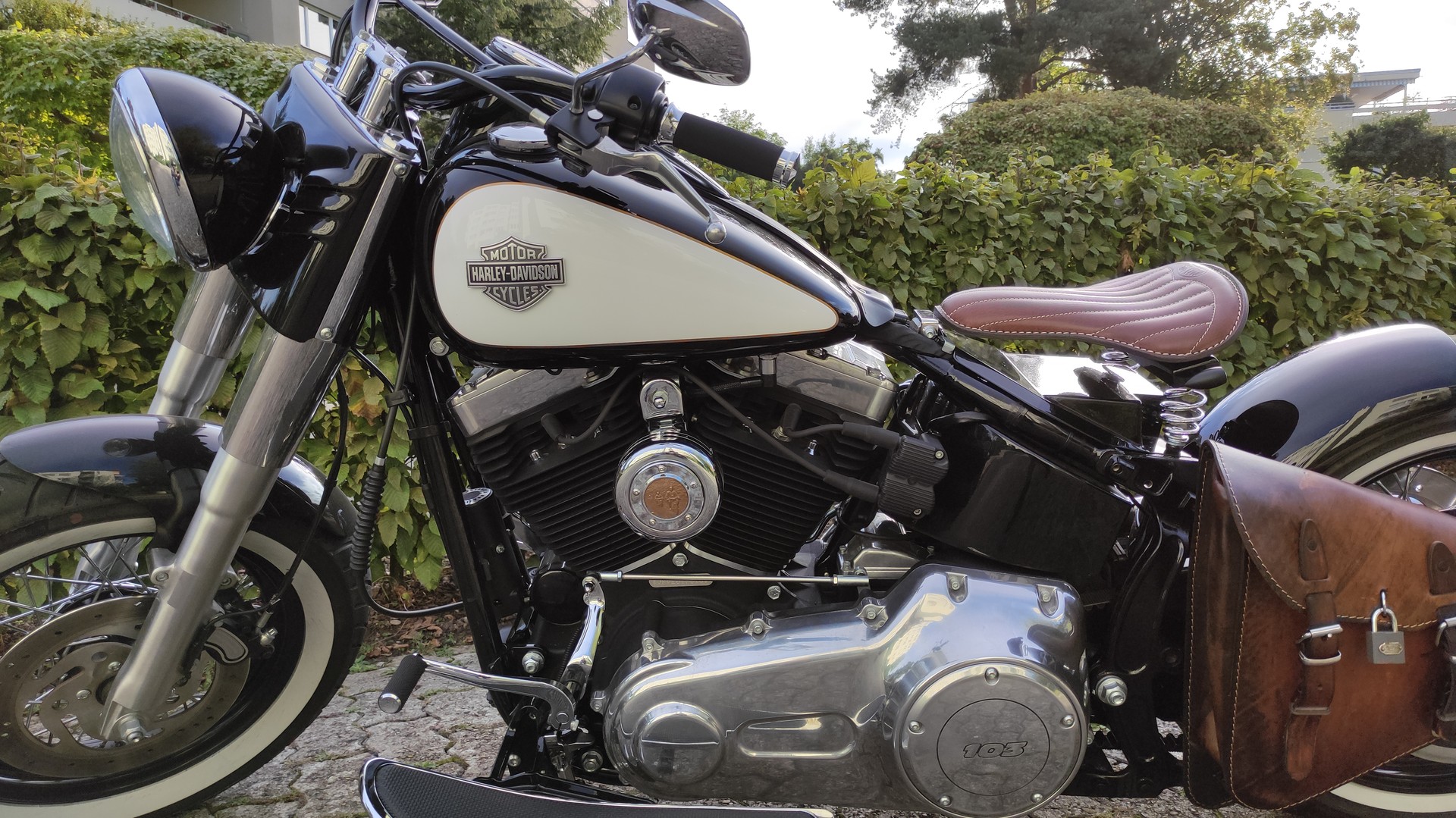 HARLEY-DAVIDSON FLS Softail Slim ABS-image-4