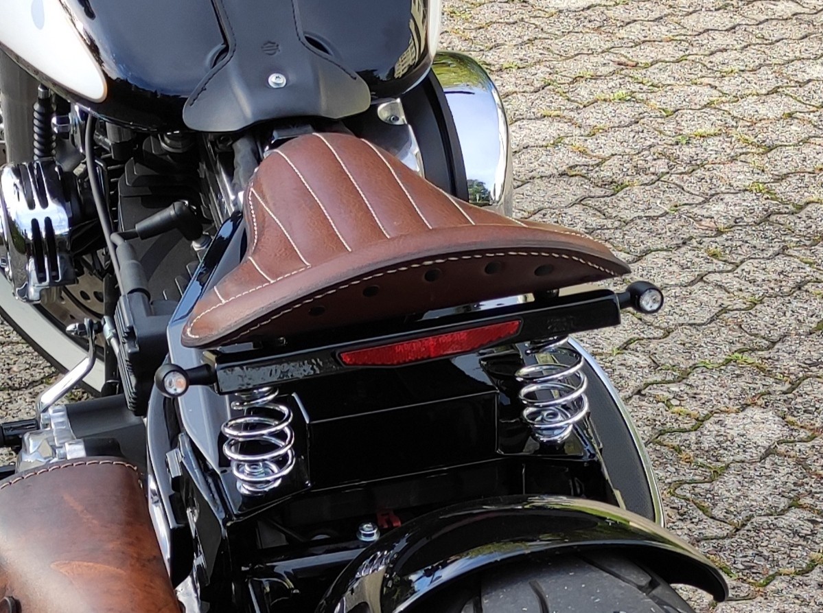 HARLEY-DAVIDSON FLS Softail Slim ABS-image-5