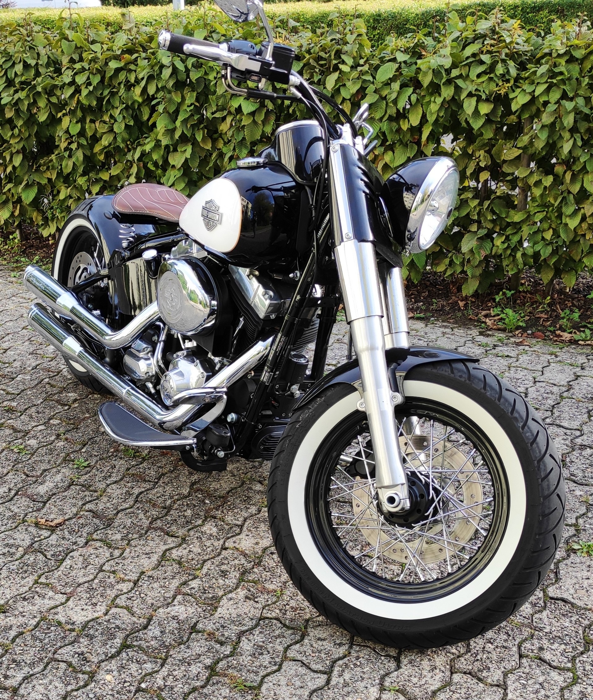 HARLEY-DAVIDSON FLS Softail Slim ABS-image-6