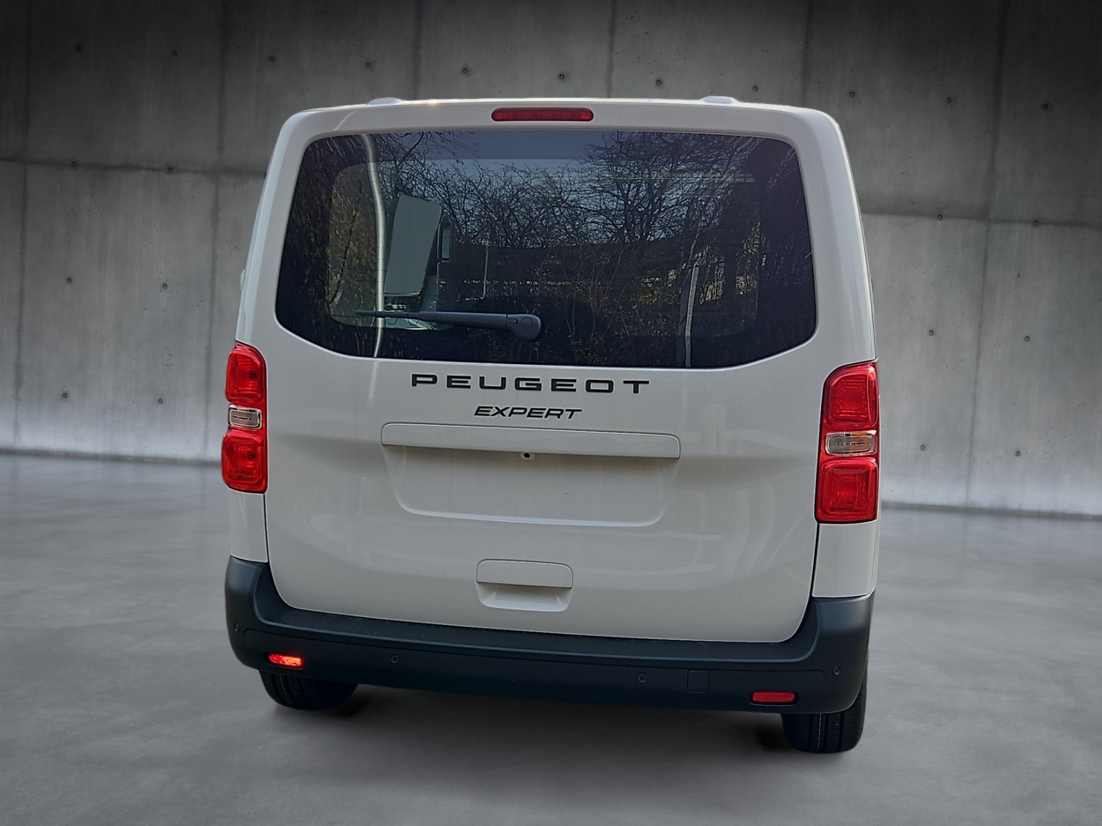 PEUGEOT Expert 1.5 BlueHDi 120 S&S Vertiefte Kabine Standard-showroom-element-2