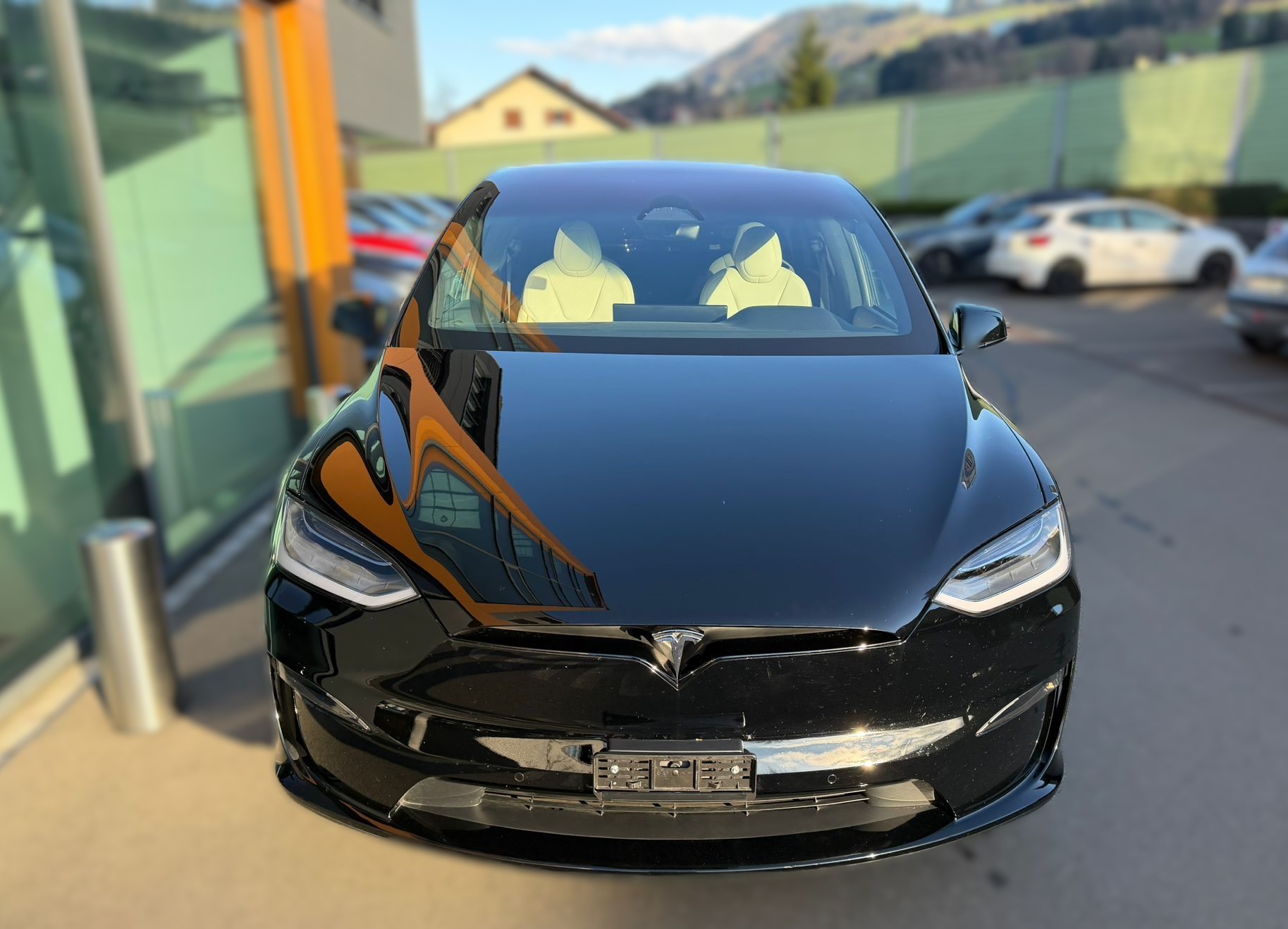 TESLA Model X Plaid-image-10
