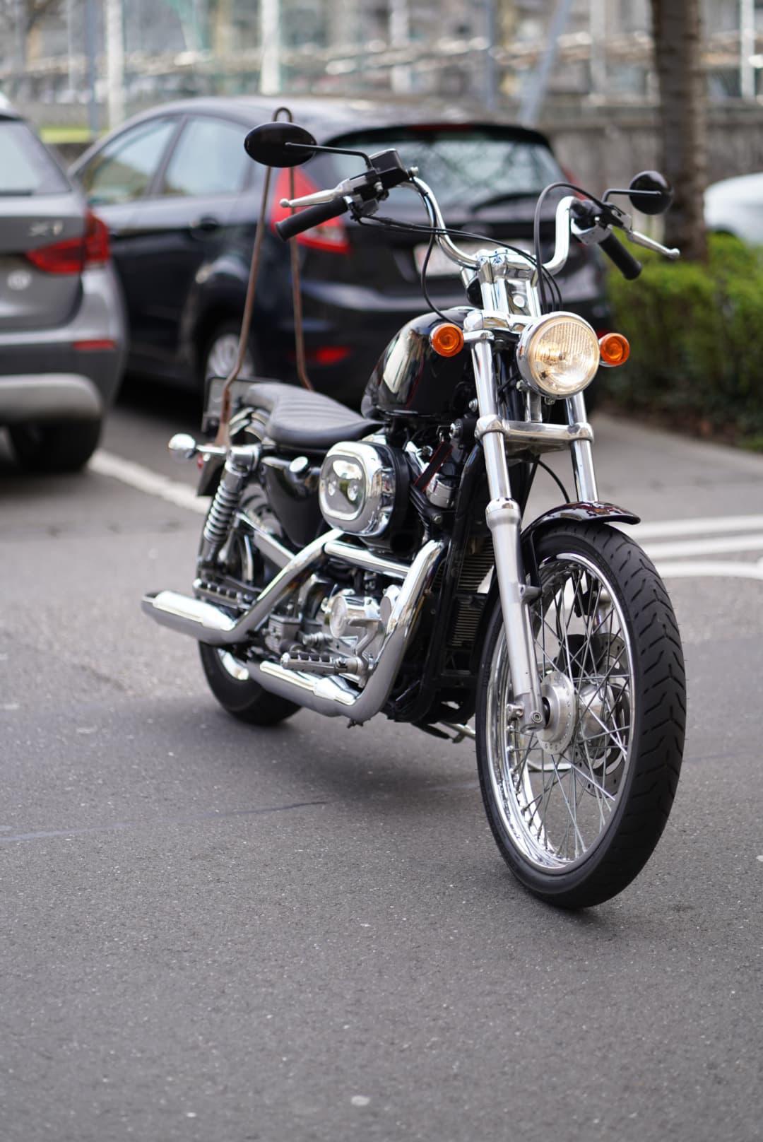 HARLEY-DAVIDSON XL 1200 C Sportster-image-3