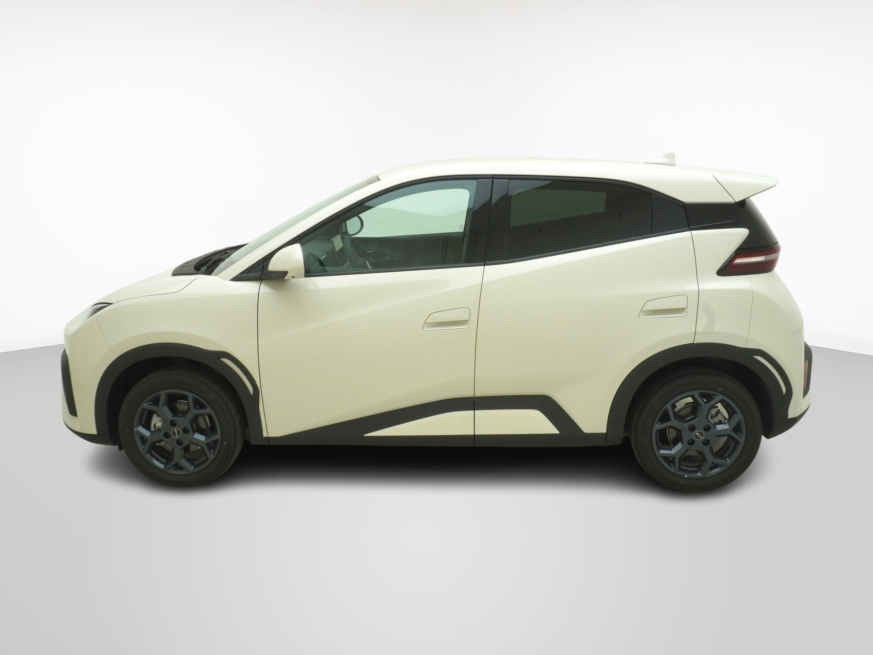 BYD Dolphin Surf Comfort-showroom-element-1