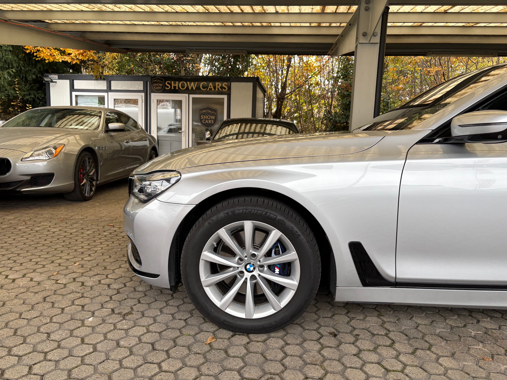 BMW 730d xDrive Steptronic-image-4