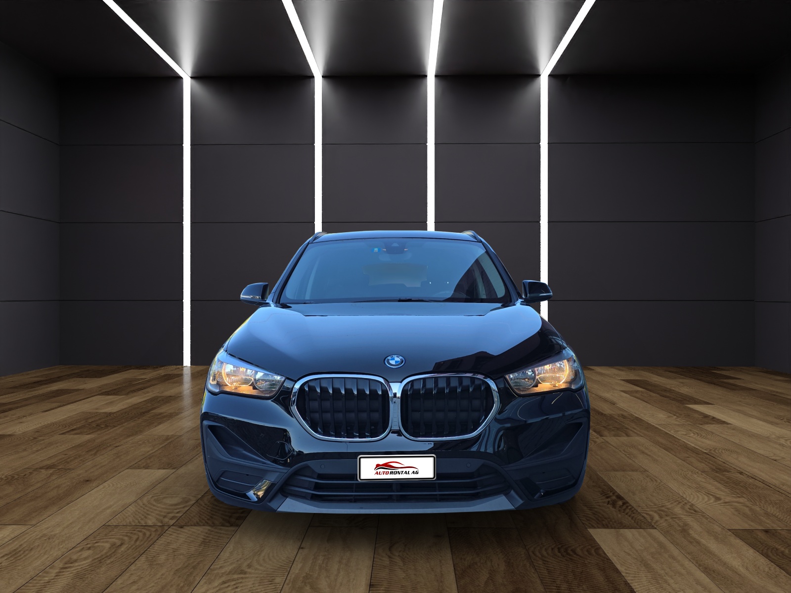 BMW X1 xDrive 25e Steptronic-showroom-element-2