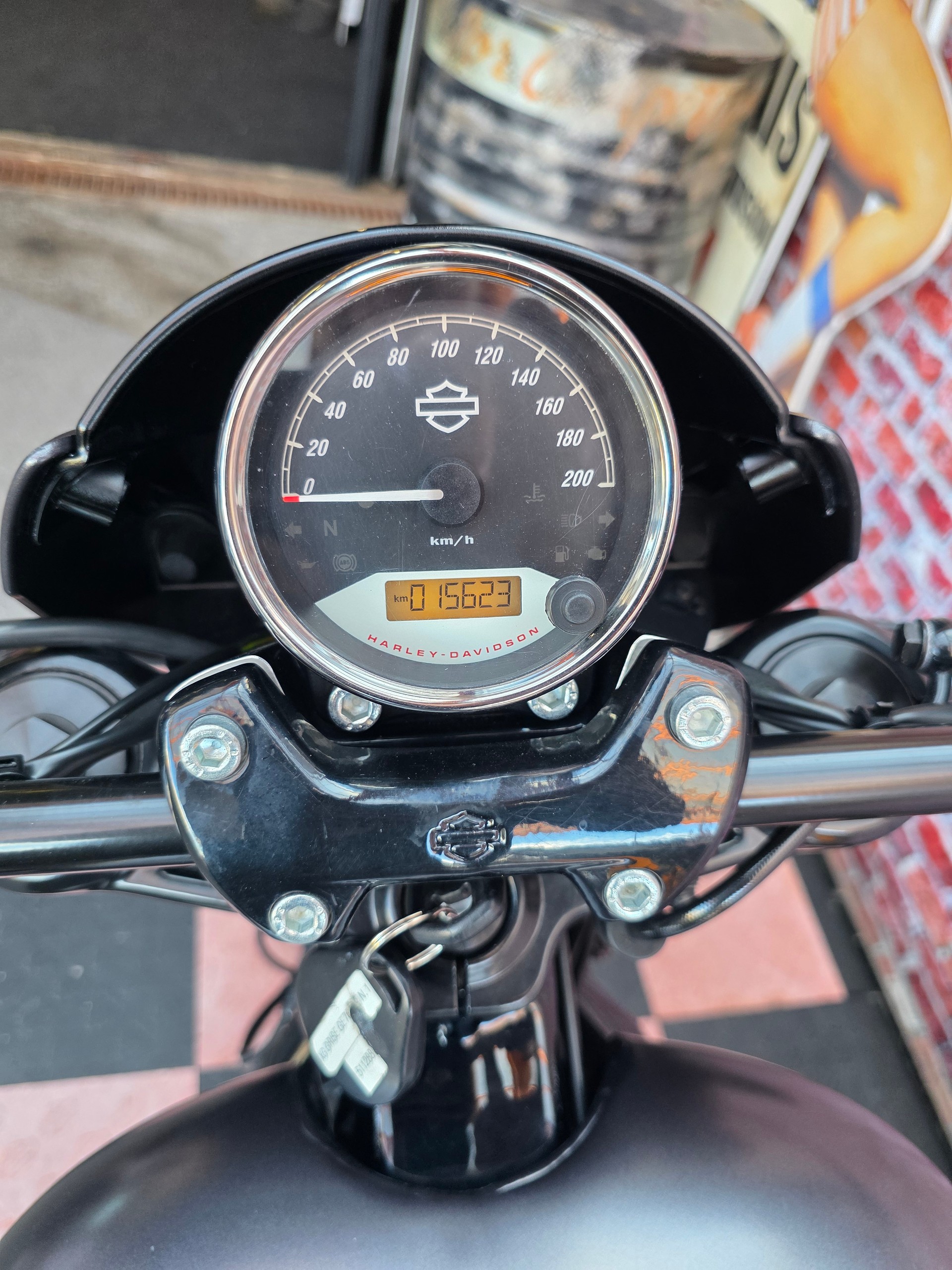 HARLEY-DAVIDSON XG 750 Street Rod-image-10