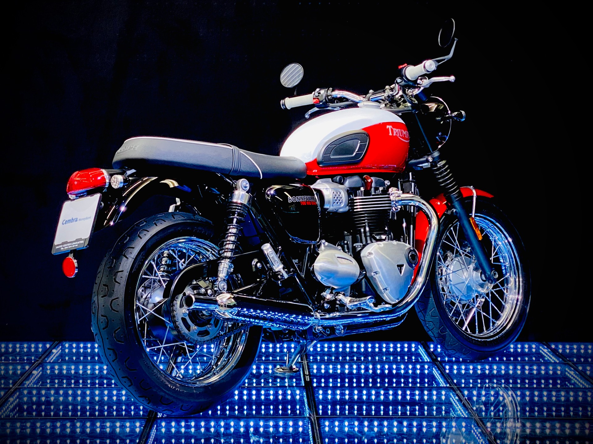 TRIUMPH Bonneville 900 T 100 Bud Ekins-image-5