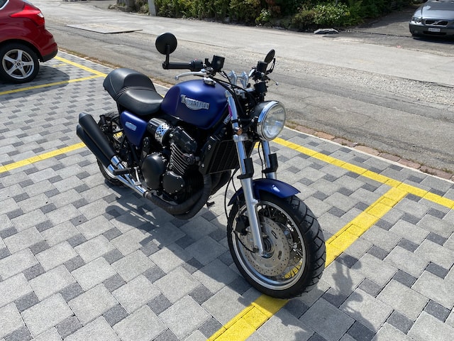 TRIUMPH Thunderbird 900-image-1