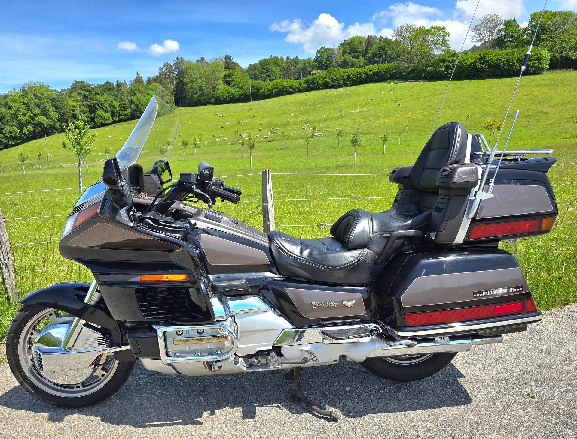 HONDA GL 1500 Goldwing SE M-P-image-6