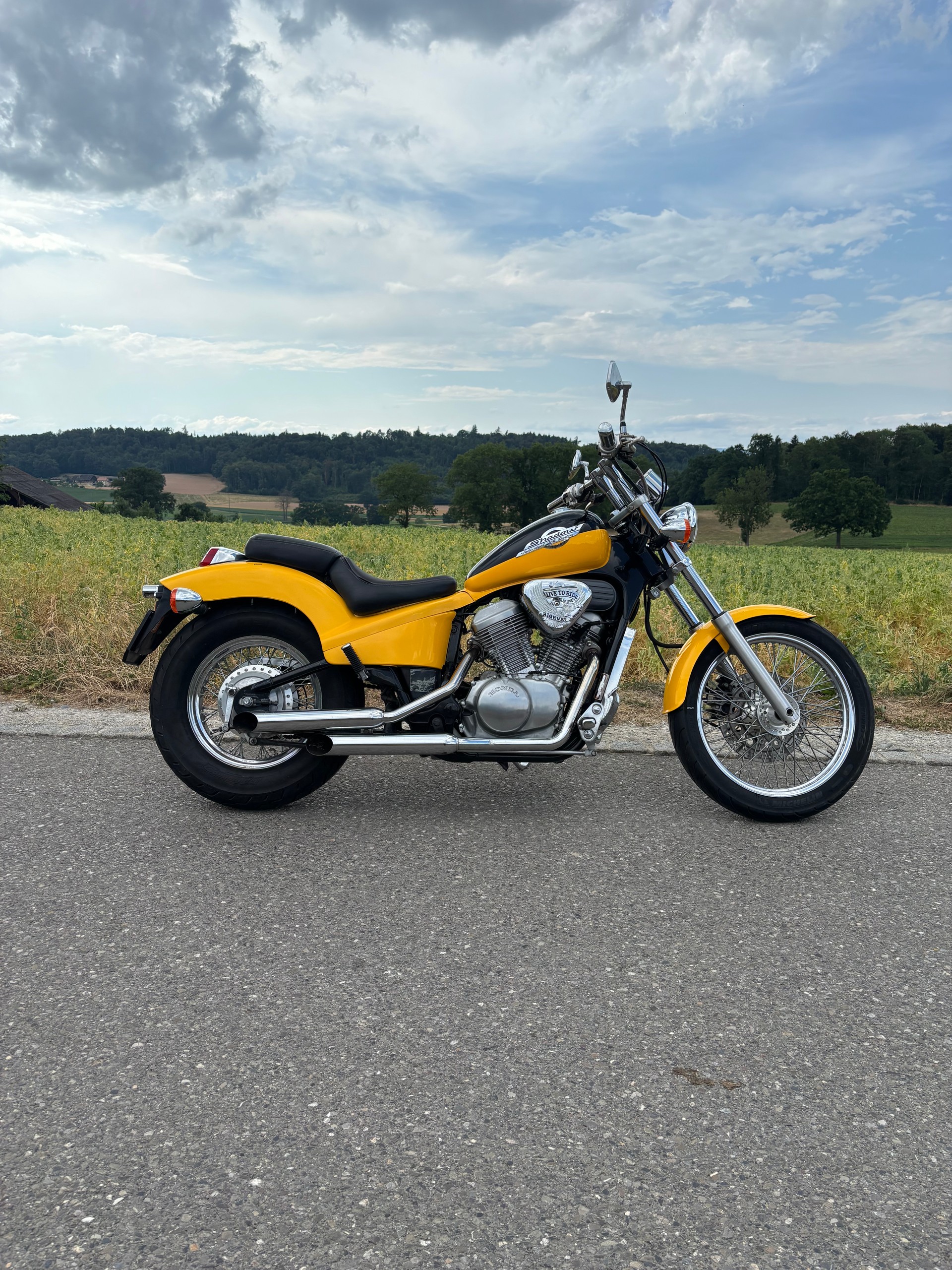 HONDA VT 600 C P-V Shadow-image-4