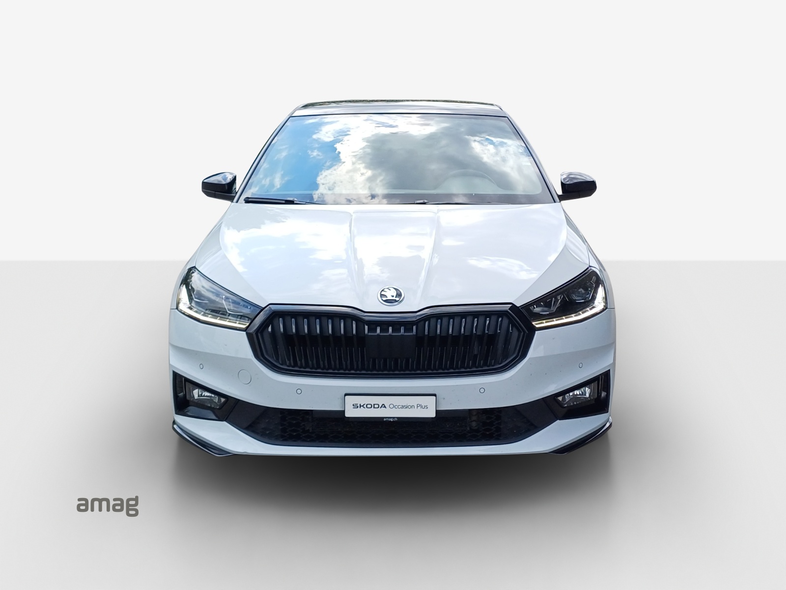 SKODA Fabia 1.5 TSI Monte Carlo DSG-image-6