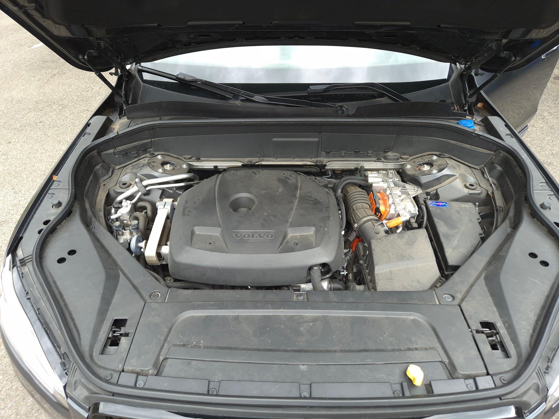 VOLVO XC90 T8 eAWD Inscription Geartronic-image-31