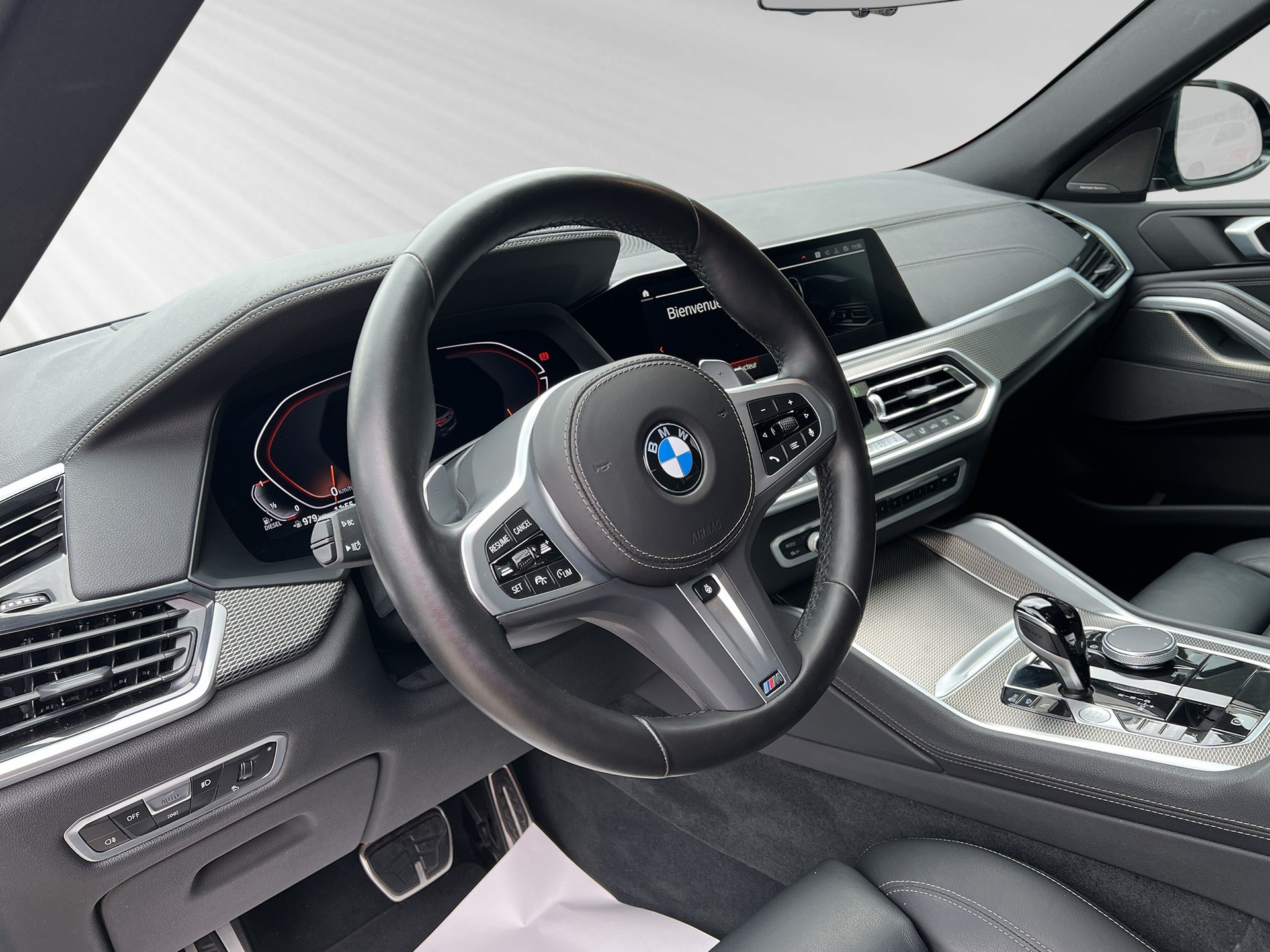 BMW X6 xDrive 48V 30d M Sport Steptronic-showroom-element-3