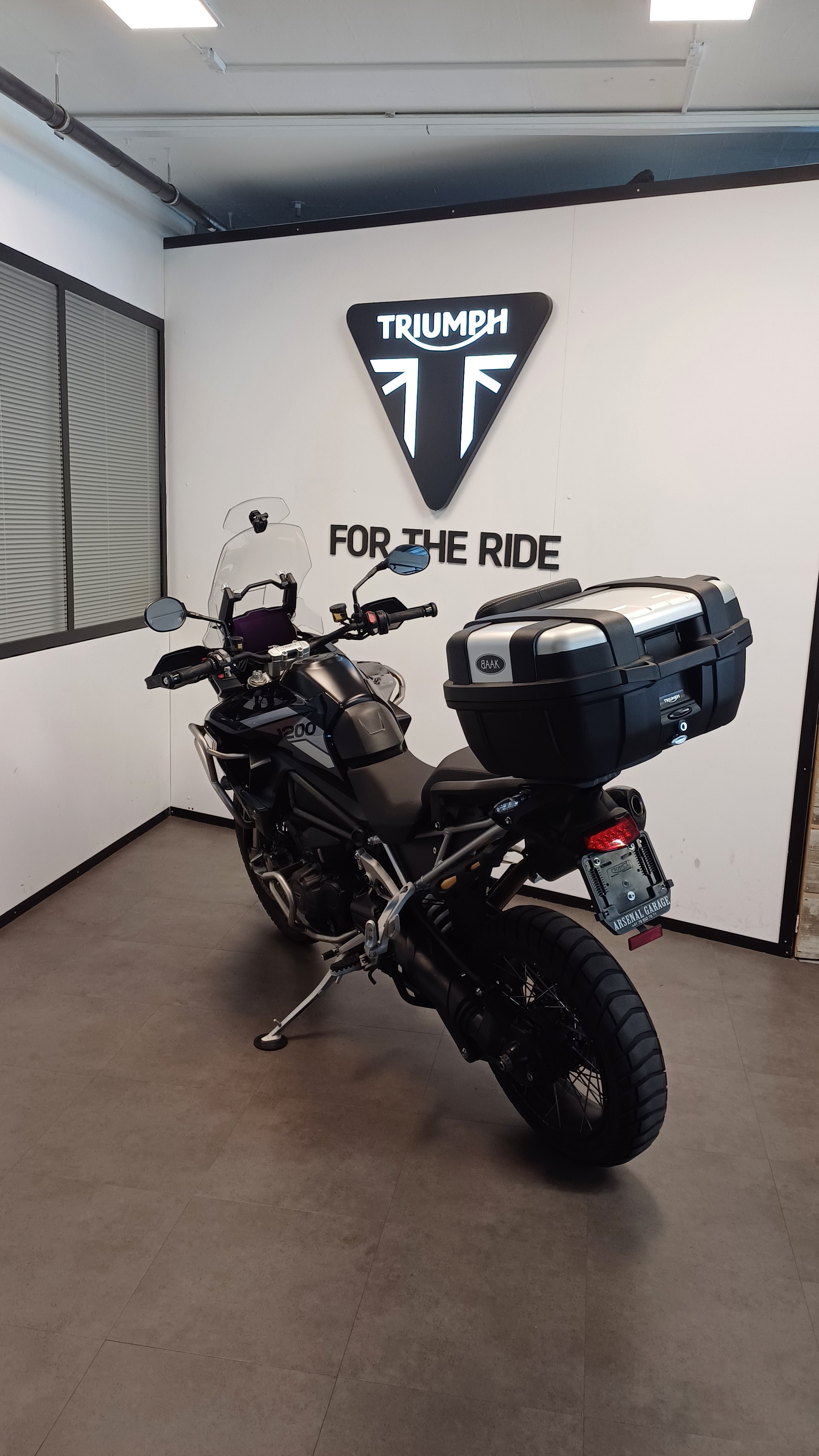 TRIUMPH Tiger 1200 Rally Pro-image-4