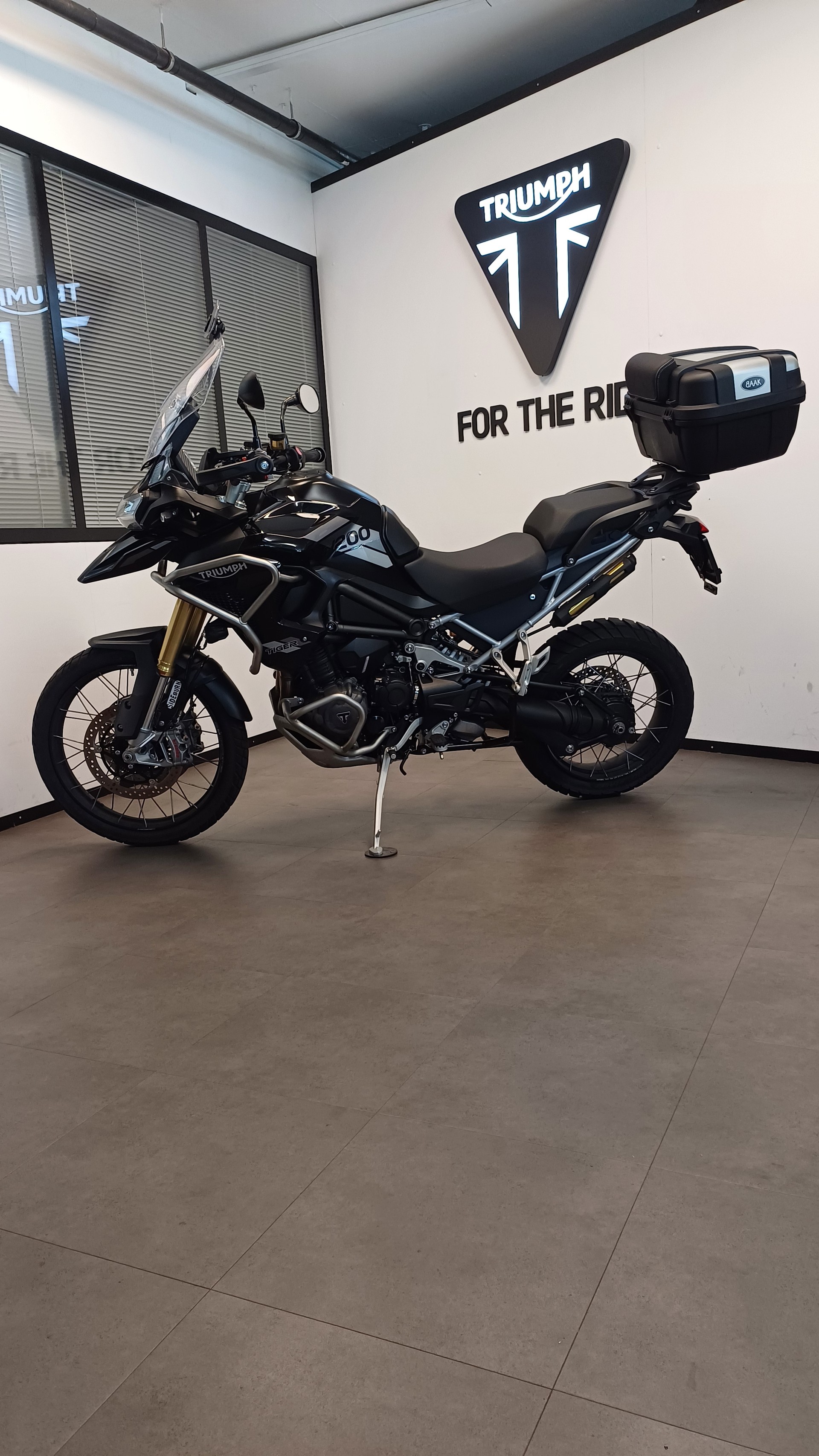TRIUMPH Tiger 1200 Rally Pro-image-3