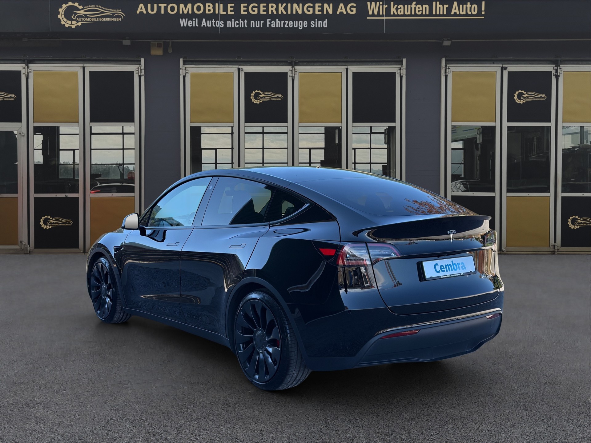 TESLA Model Y Performance D-image-6