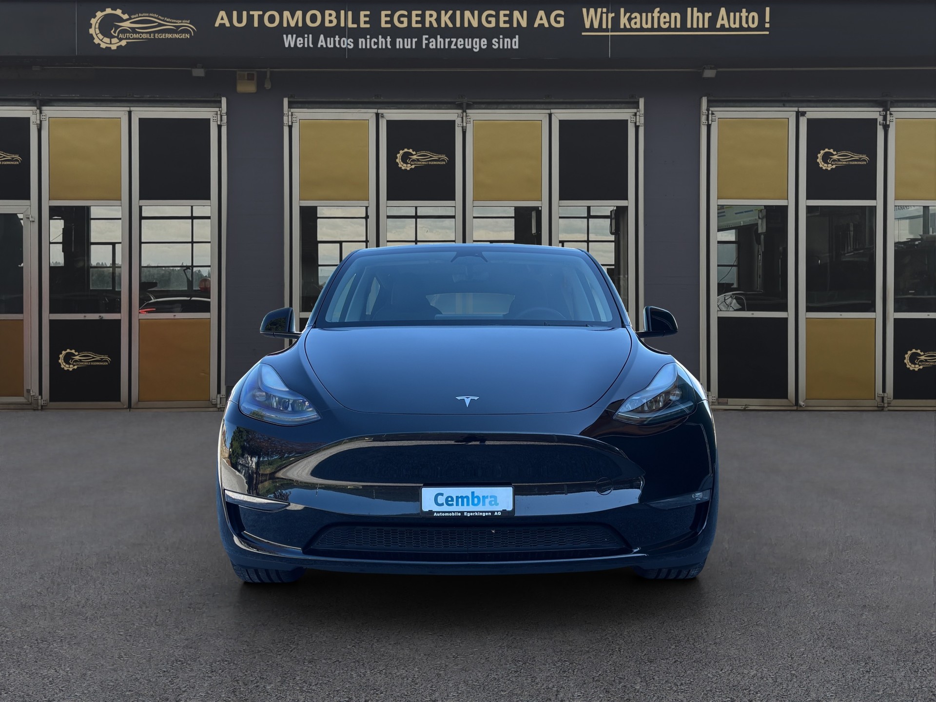 TESLA Model Y Performance D-showroom-element-1