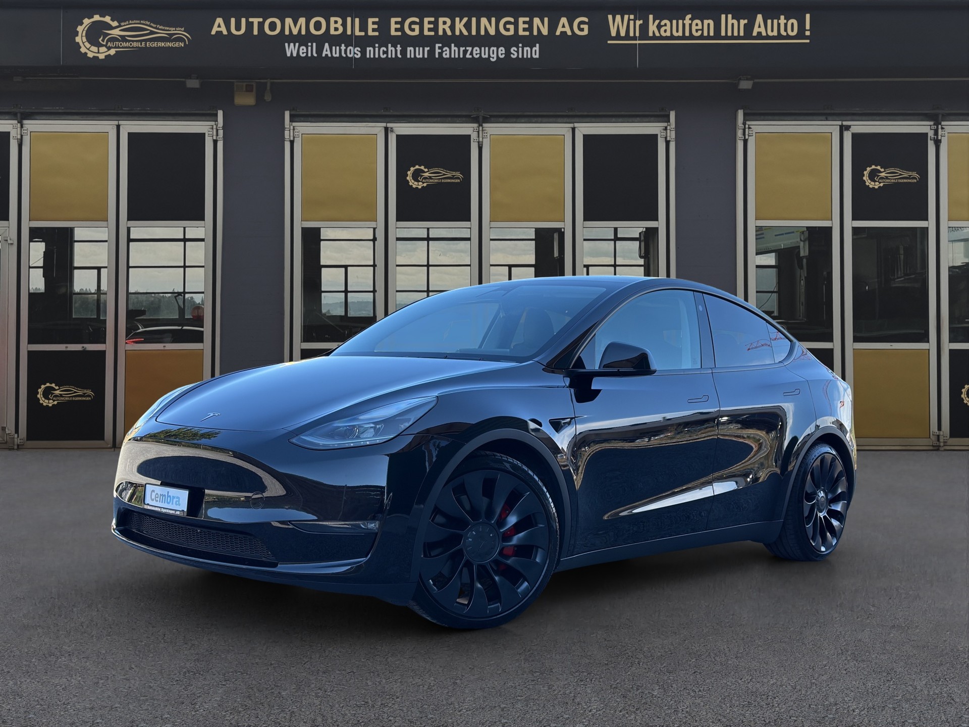 TESLA Model Y Performance D