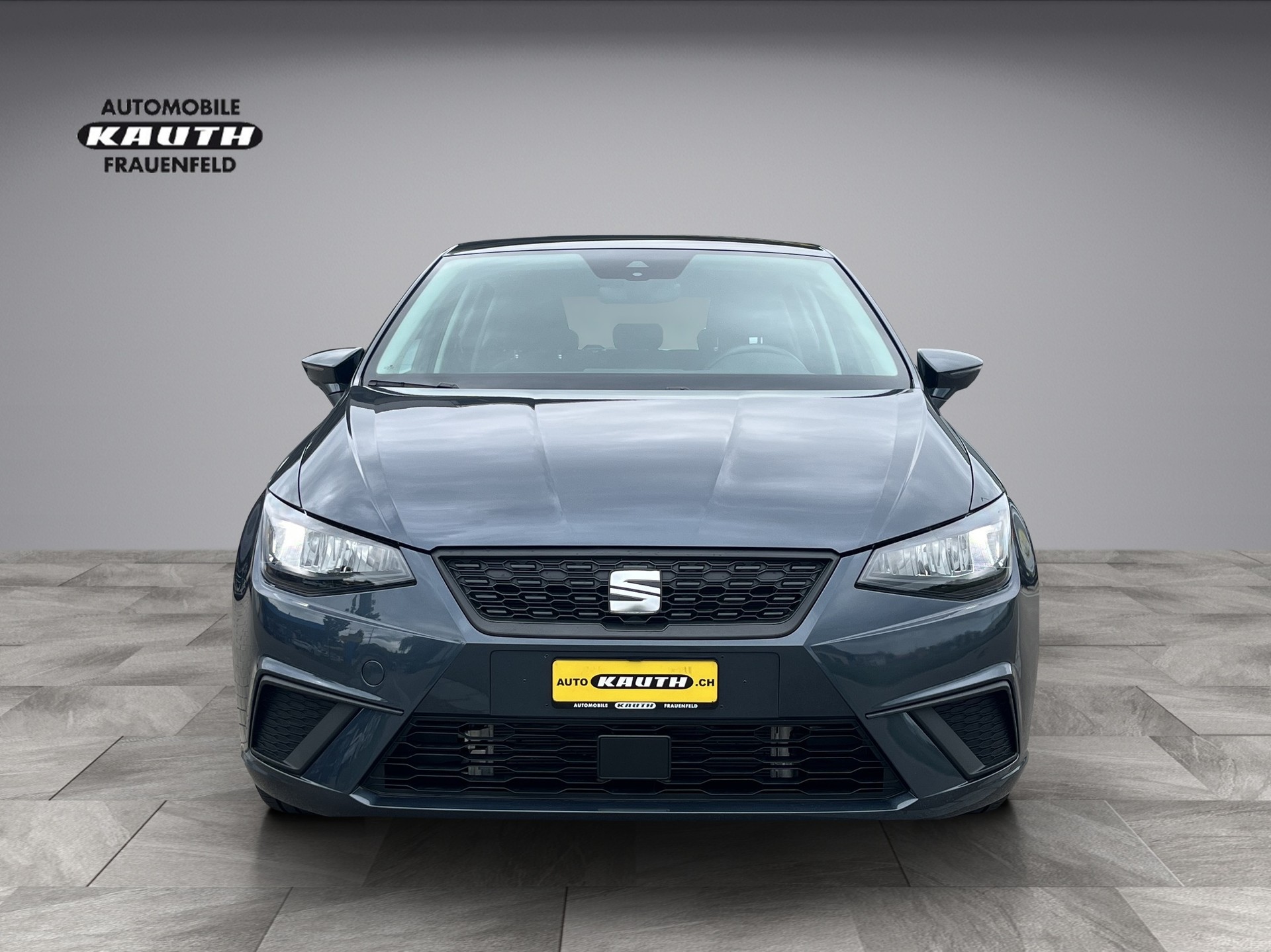SEAT Ibiza 1.0 EcoTSI Style DSG *App Conect, PDC hinten, Tempomat*-showroom-element-3