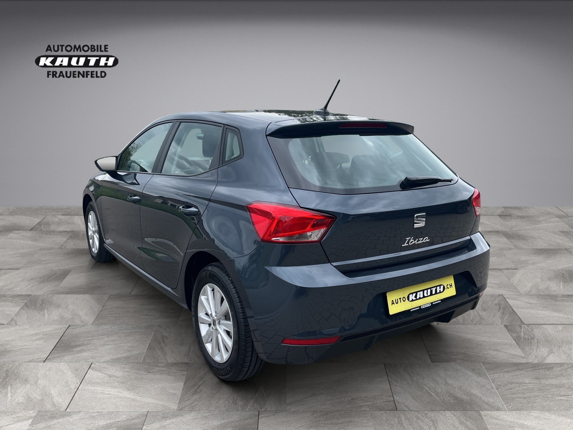 SEAT Ibiza 1.0 EcoTSI Style DSG *App Conect, PDC hinten, Tempomat*-showroom-element-2