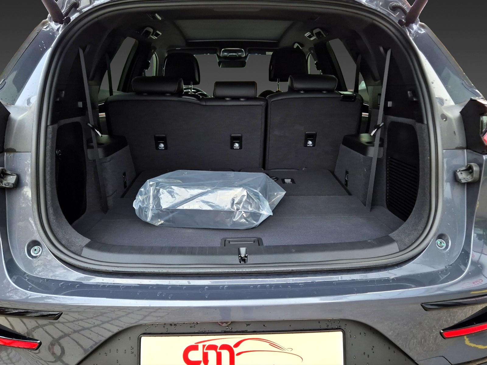 BYD Flagship 7 Plaetzer 4WD-image-4