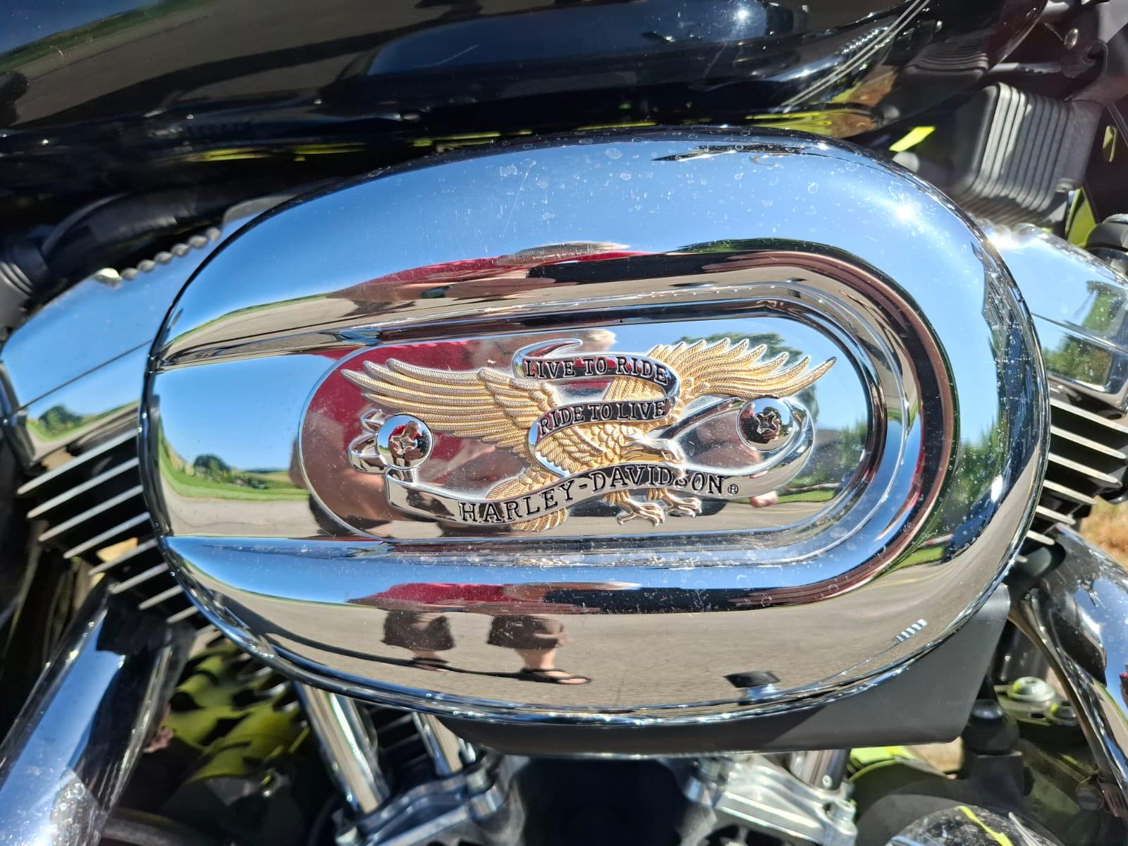 HARLEY-DAVIDSON XL 1200 C Sportster Custom-image-4