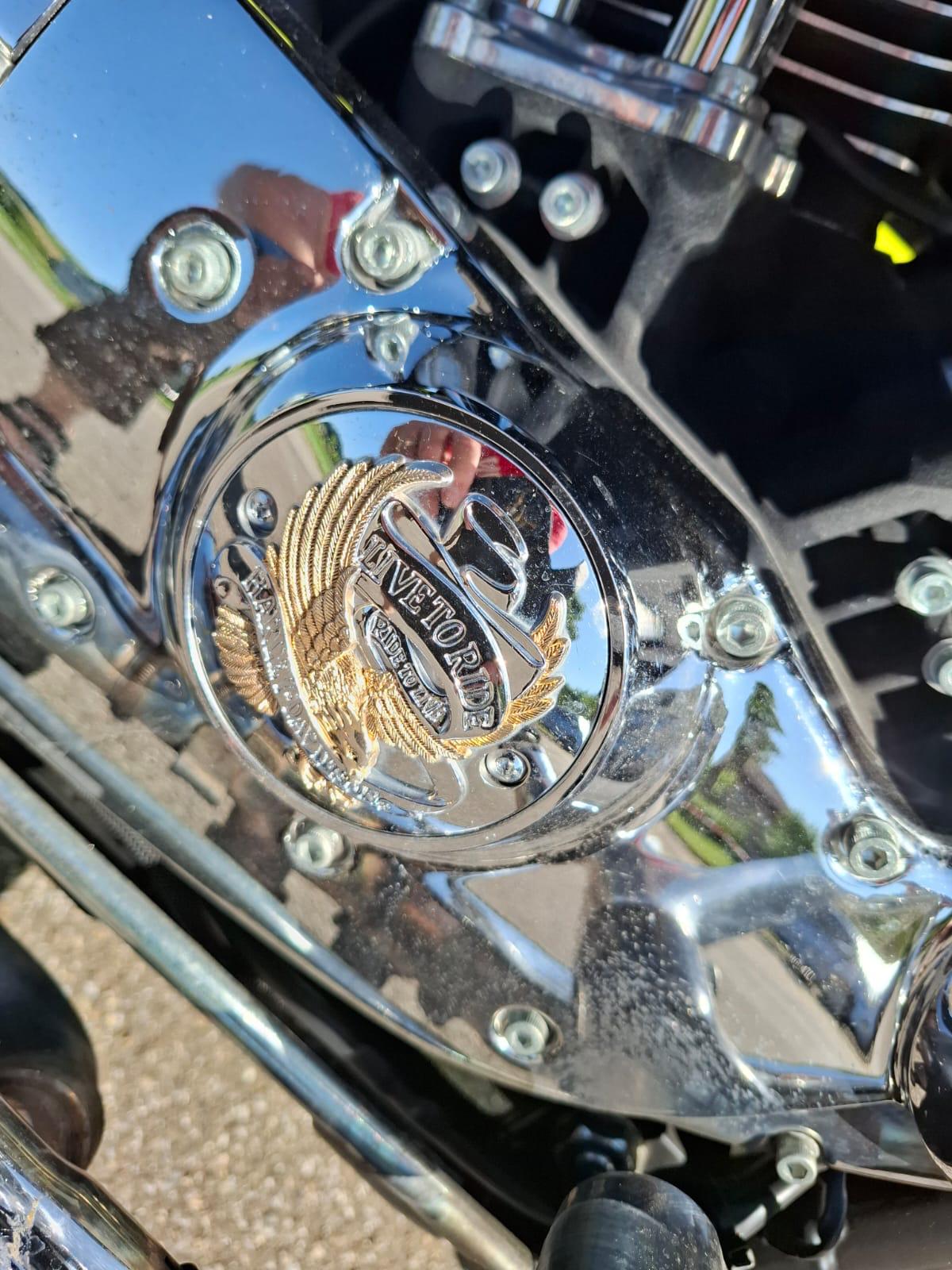 HARLEY-DAVIDSON XL 1200 C Sportster Custom-image-3