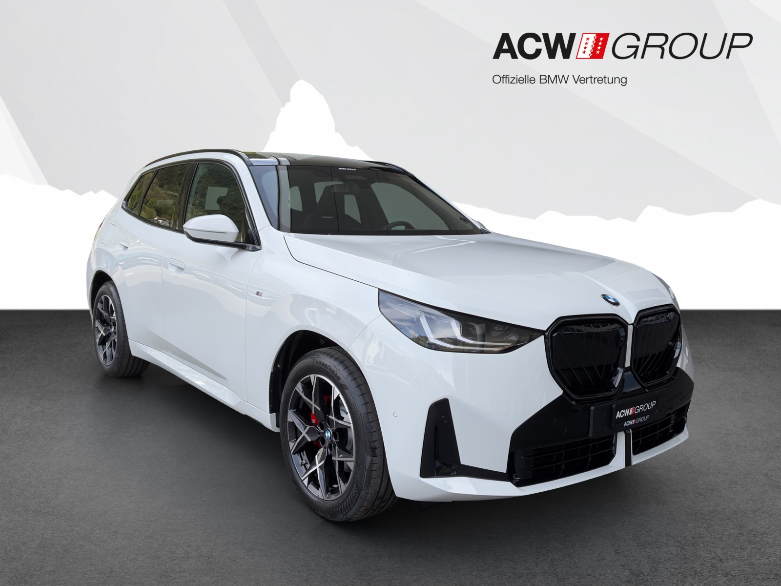 BMW X3 30e xDrive-image-6