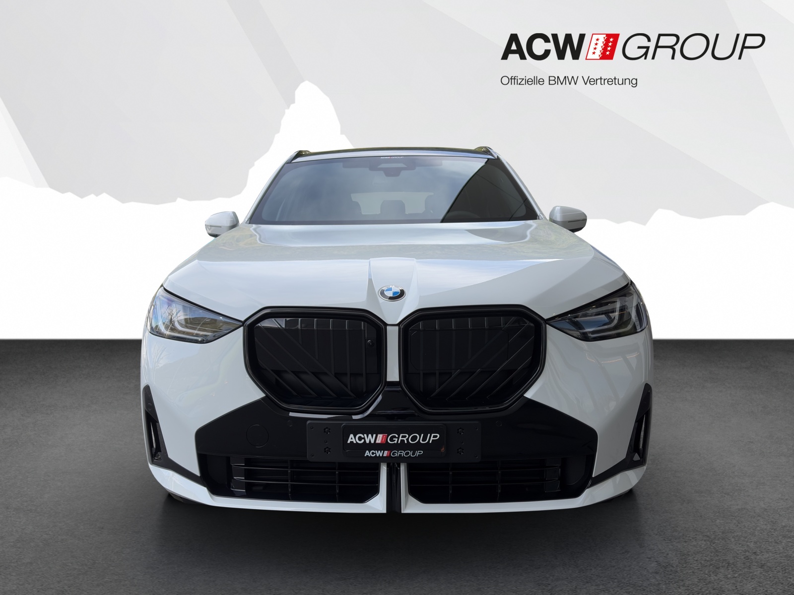 BMW X3 30e xDrive-image-7