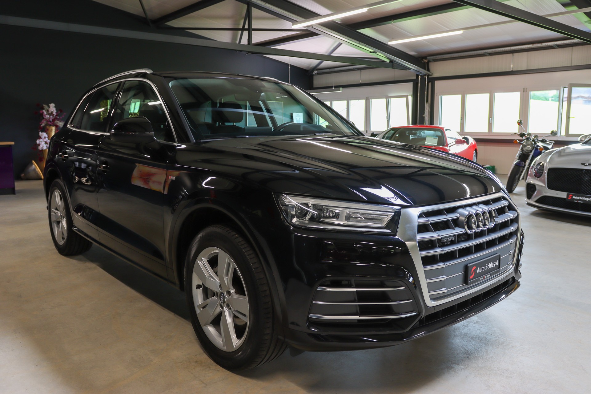 AUDI Q5 50 TFSI e quattro-image-6
