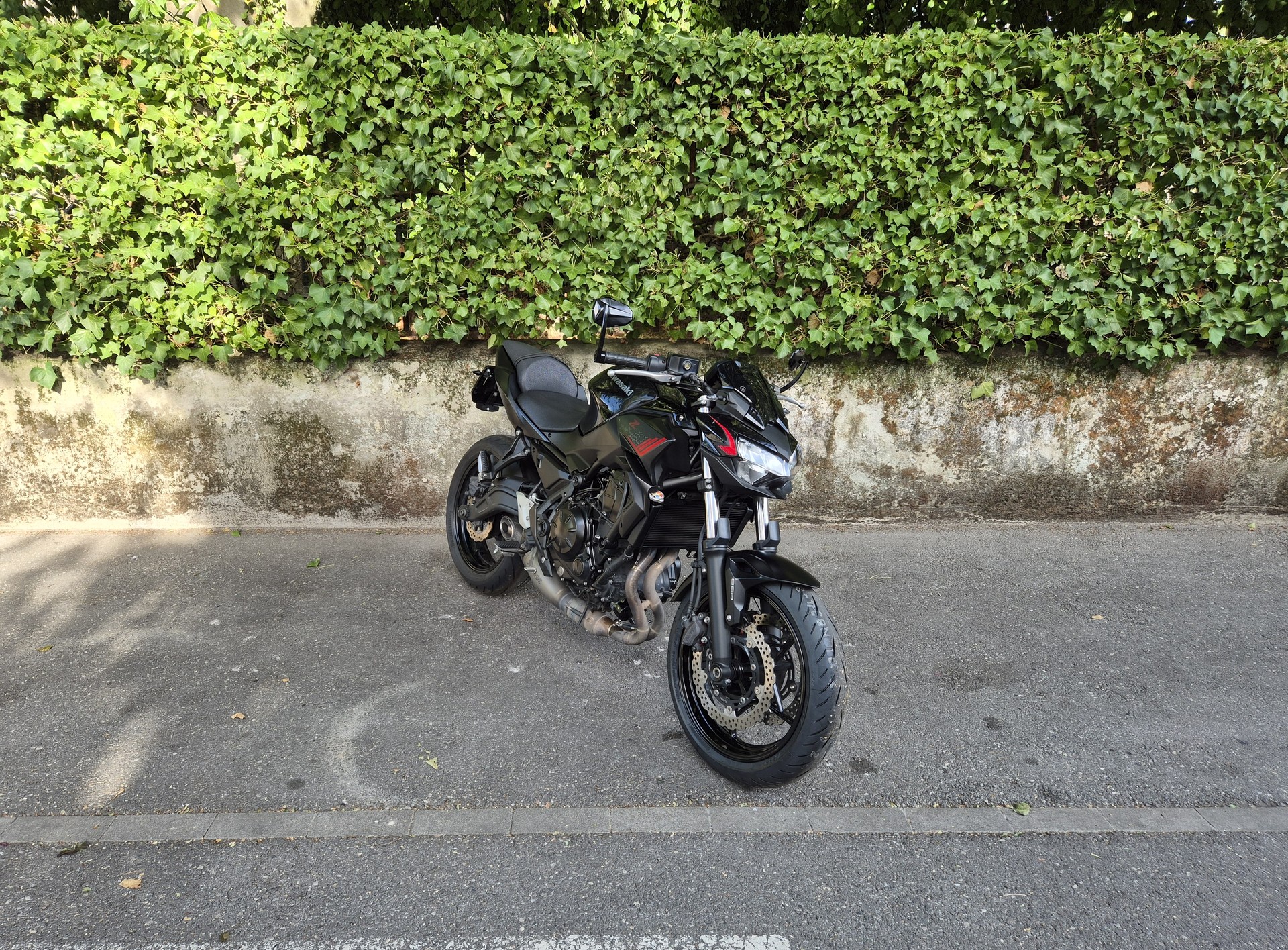 KAWASAKI Z 650 (35kW)-image-5