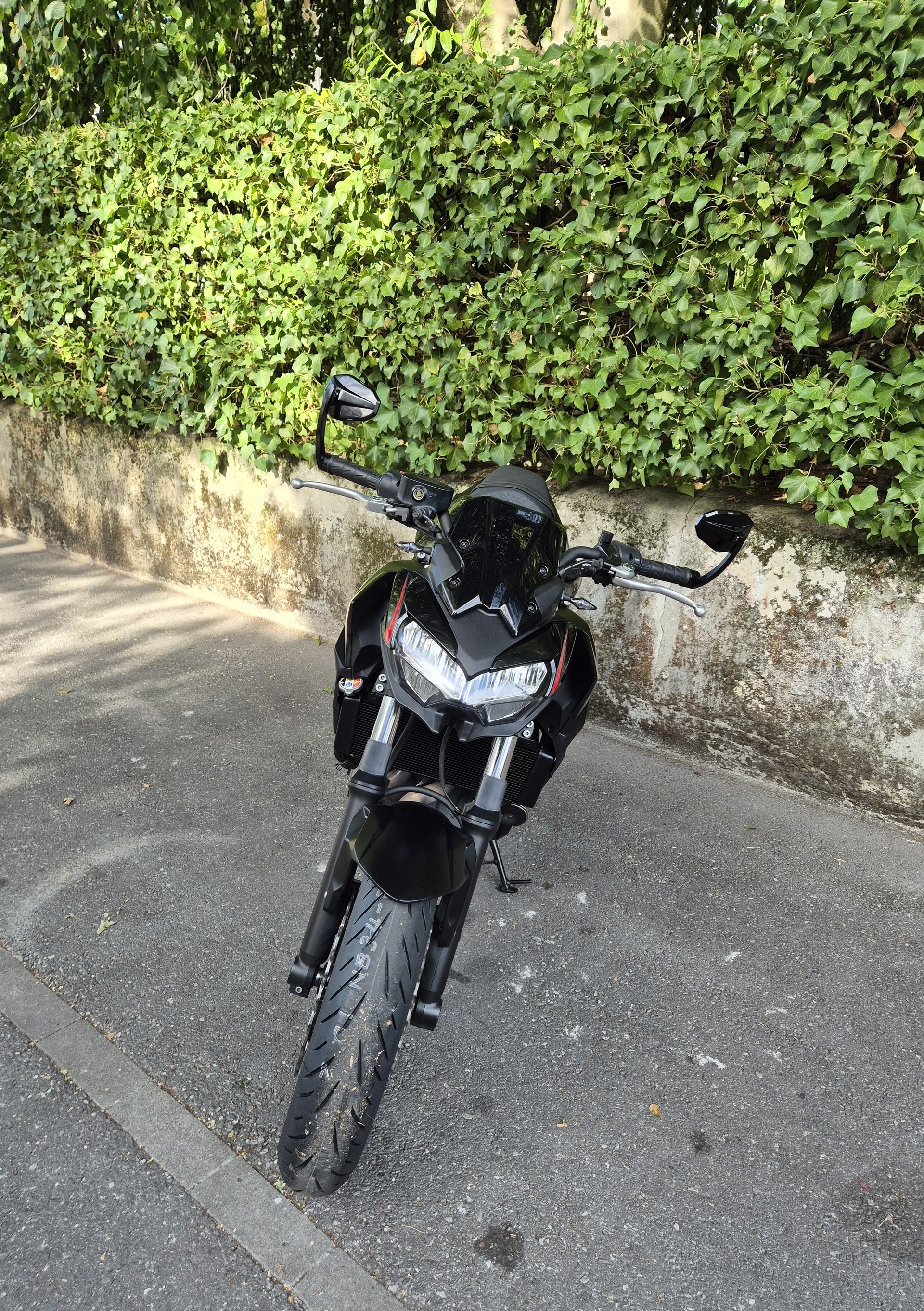 KAWASAKI Z 650 (35kW)-image-6