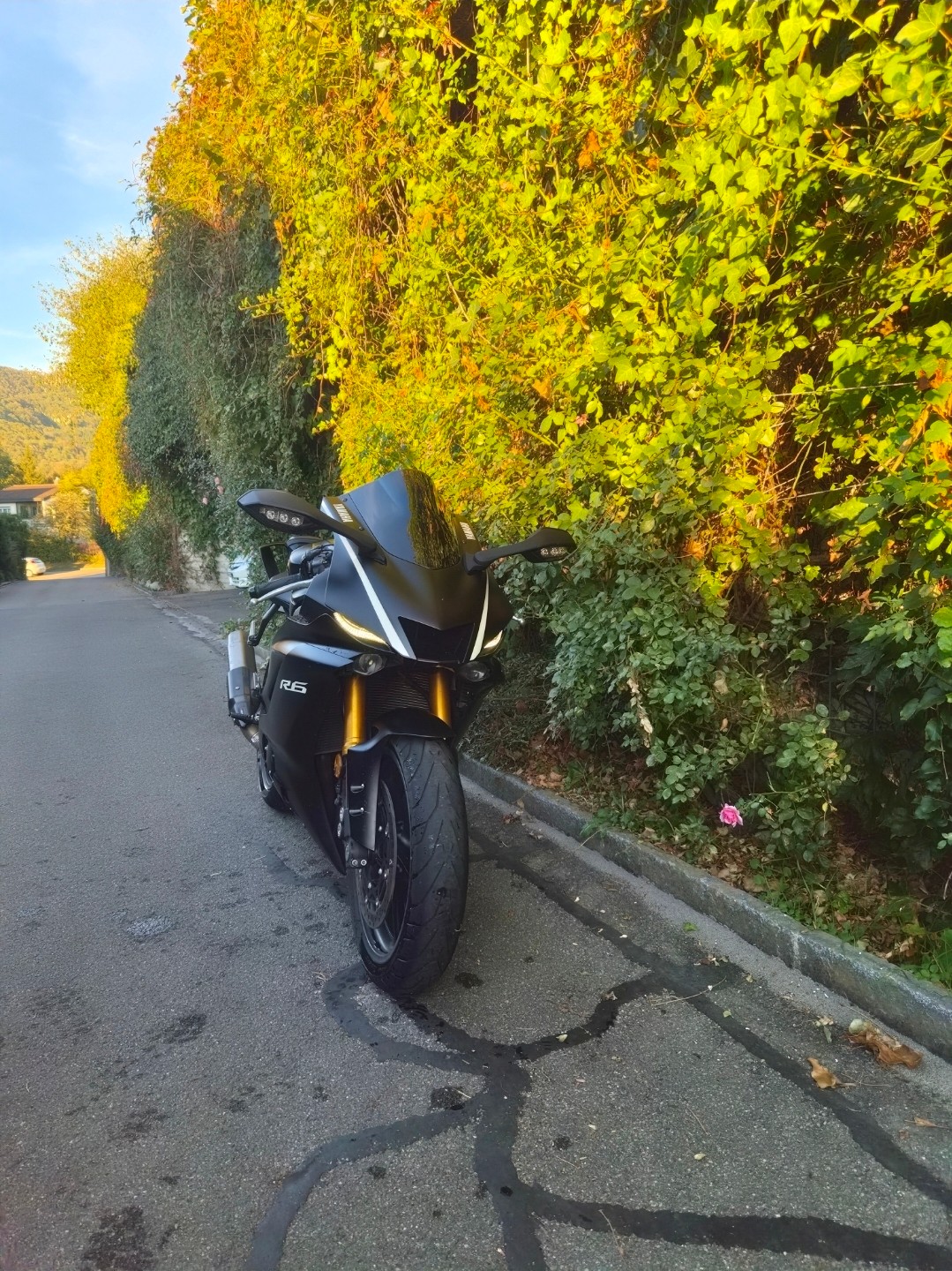 YAMAHA YZF-R6-image-3
