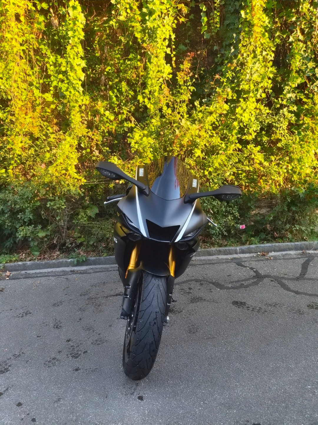 YAMAHA YZF-R6-image-4