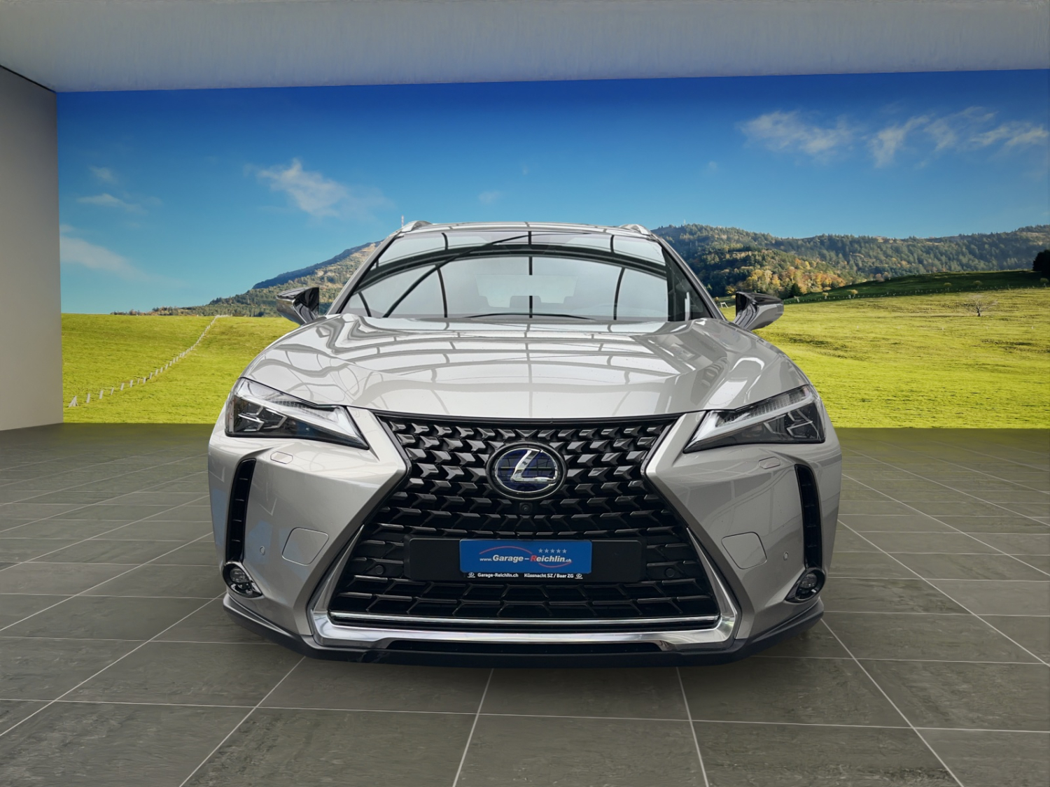 LEXUS UX 300e Excellence-image-7