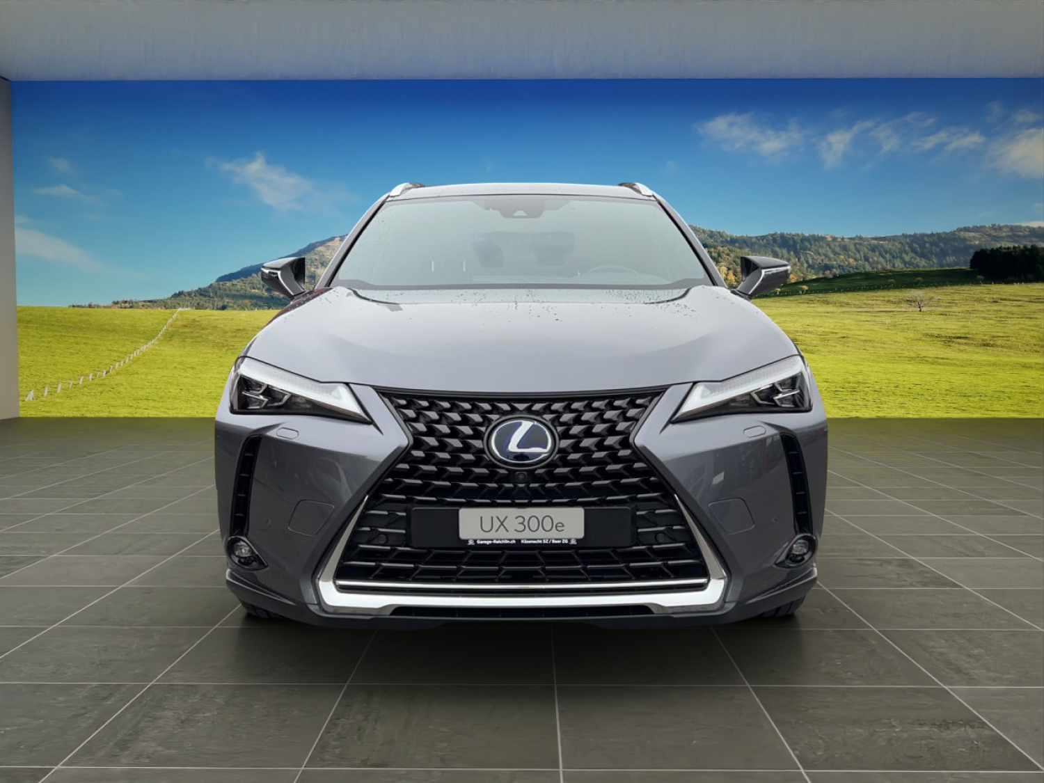 LEXUS UX 300e Excellence-image-7