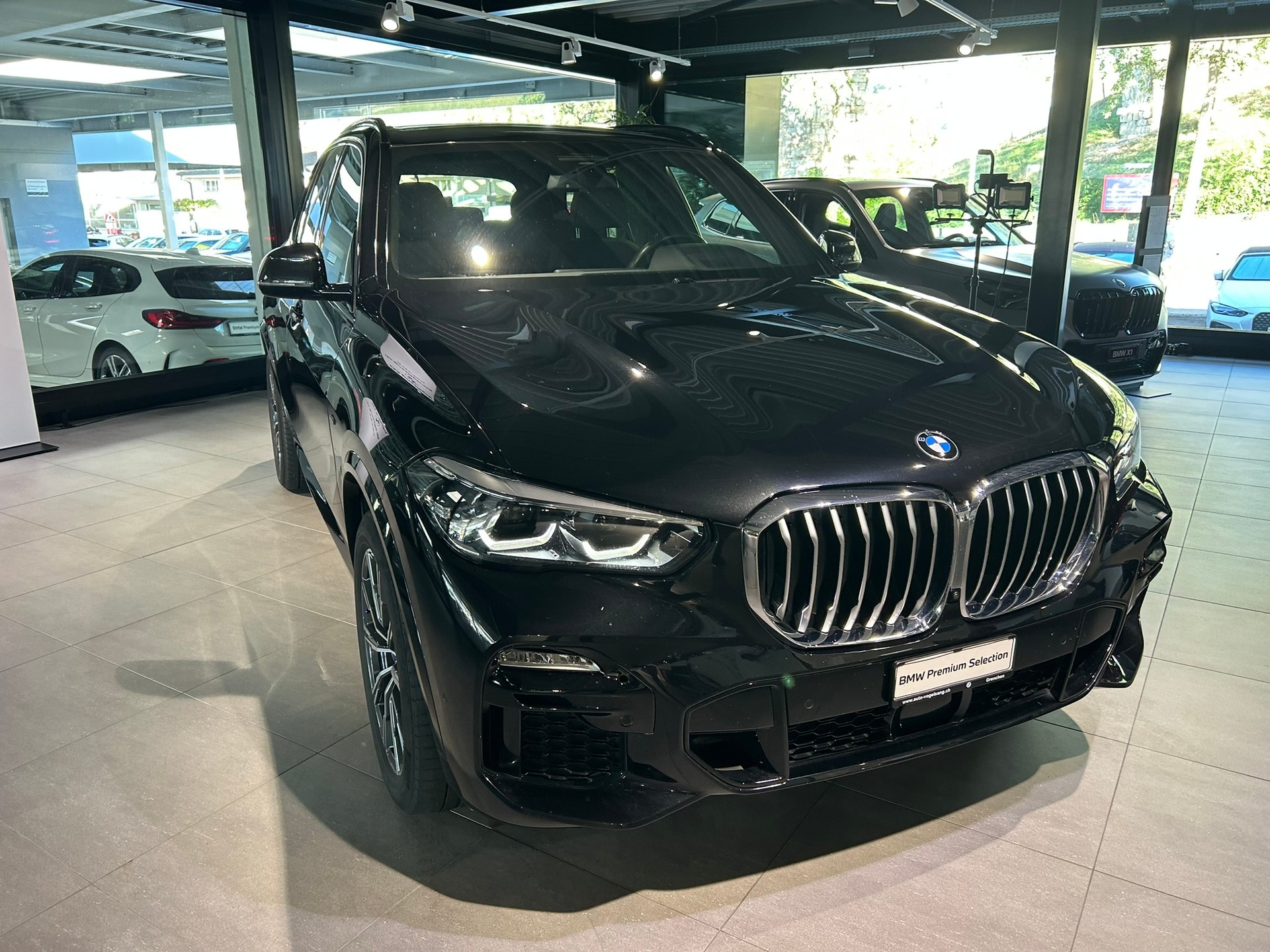 BMW X5 xDrive45e Steptronic-showroom-element-3