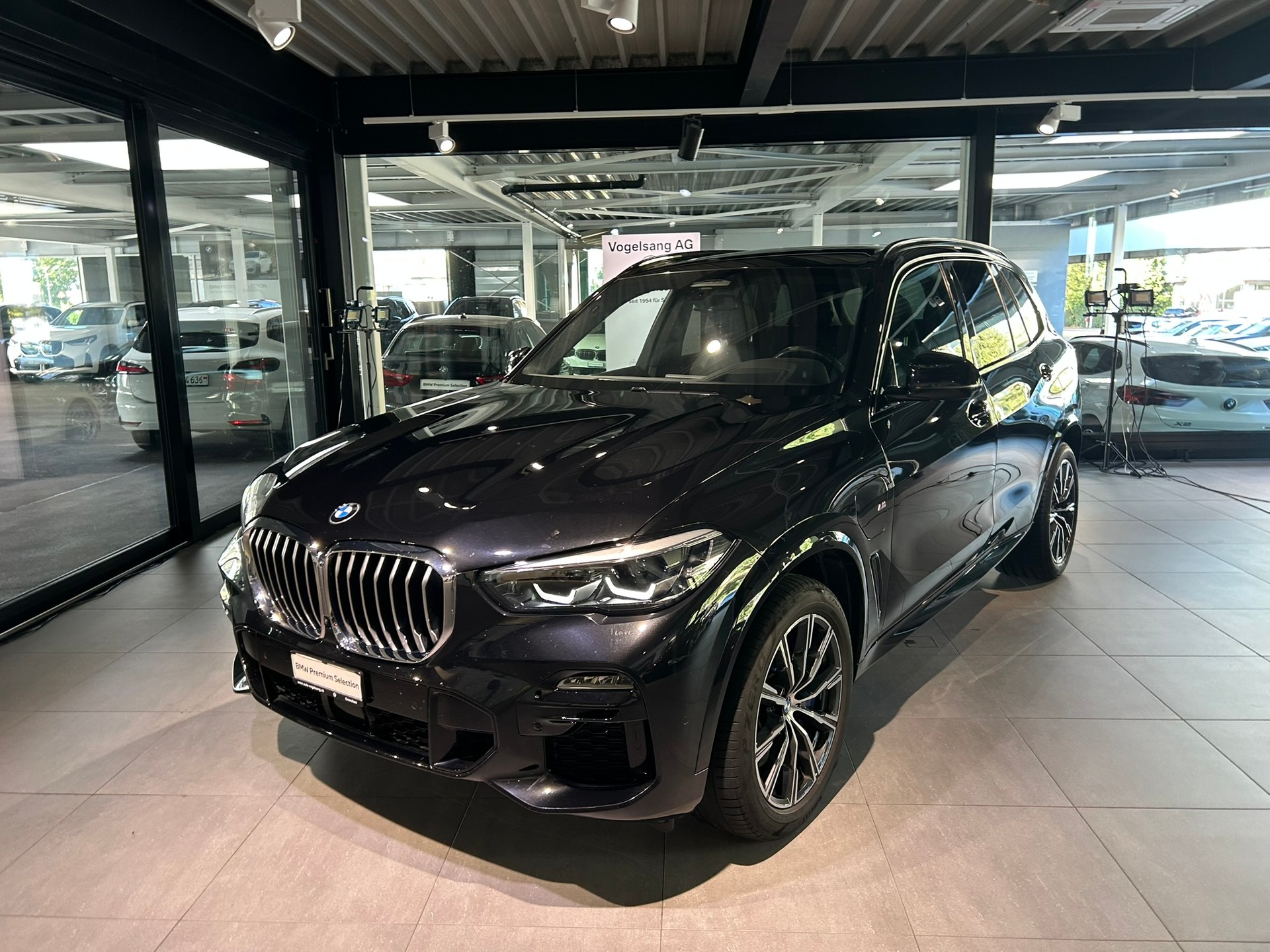 BMW X5 xDrive45e Steptronic-showroom-element-2