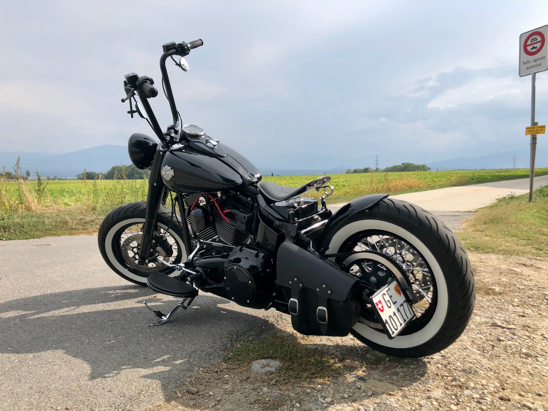 HARLEY-DAVIDSON FLSS Softail Slim S110 ABS-image-0