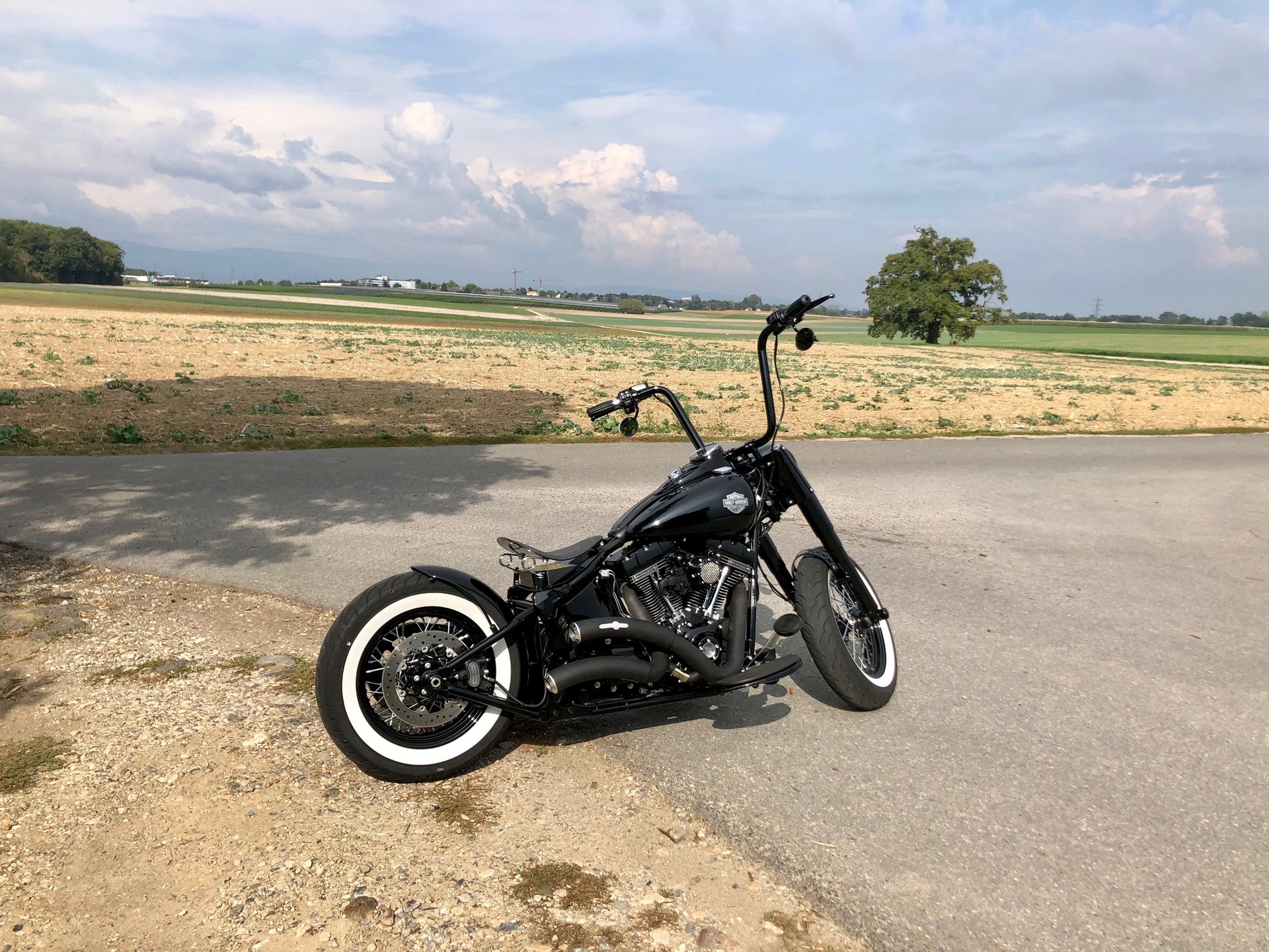 HARLEY-DAVIDSON FLSS Softail Slim S110 ABS-image-5