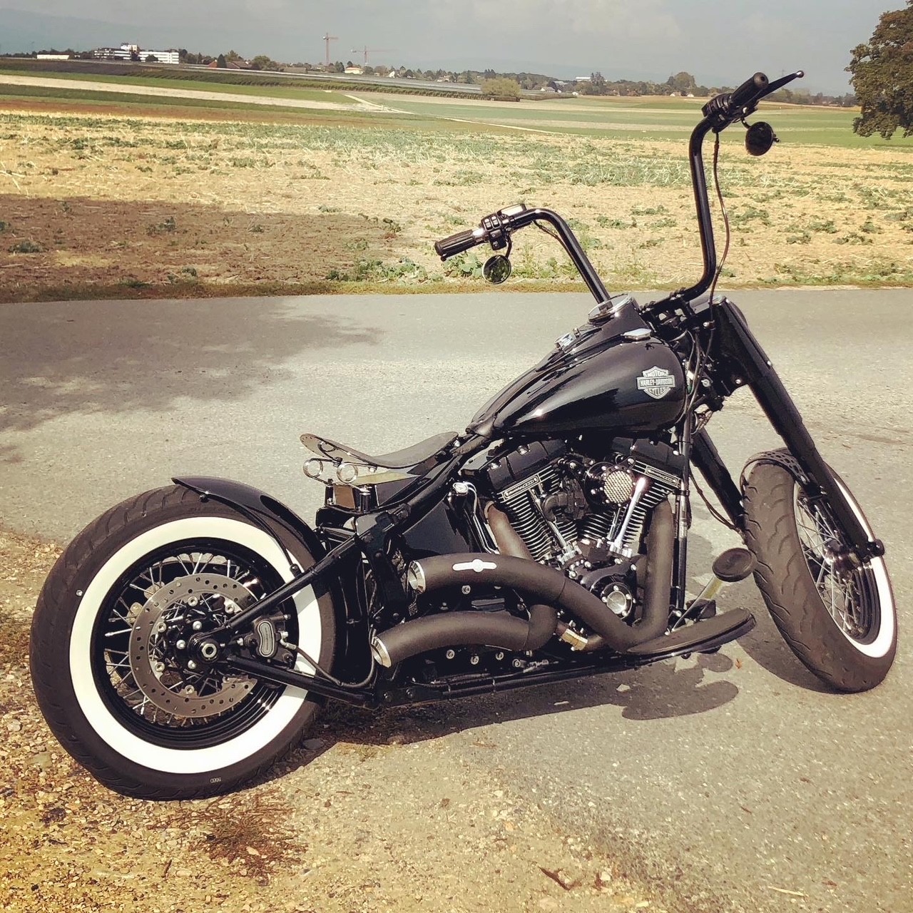HARLEY-DAVIDSON FLSS Softail Slim S110 ABS-image-1
