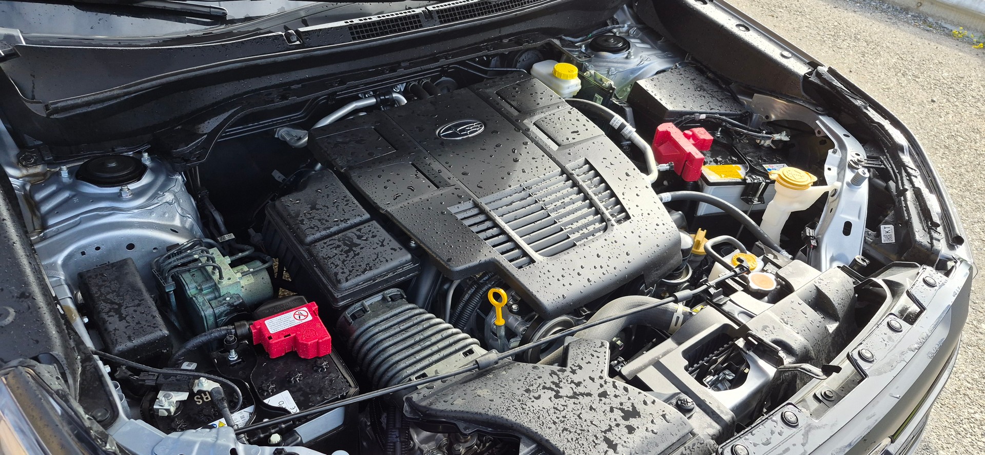 SUBARU Forester 2.0i e-Boxer Swiss Plus Lineartronic-image-19