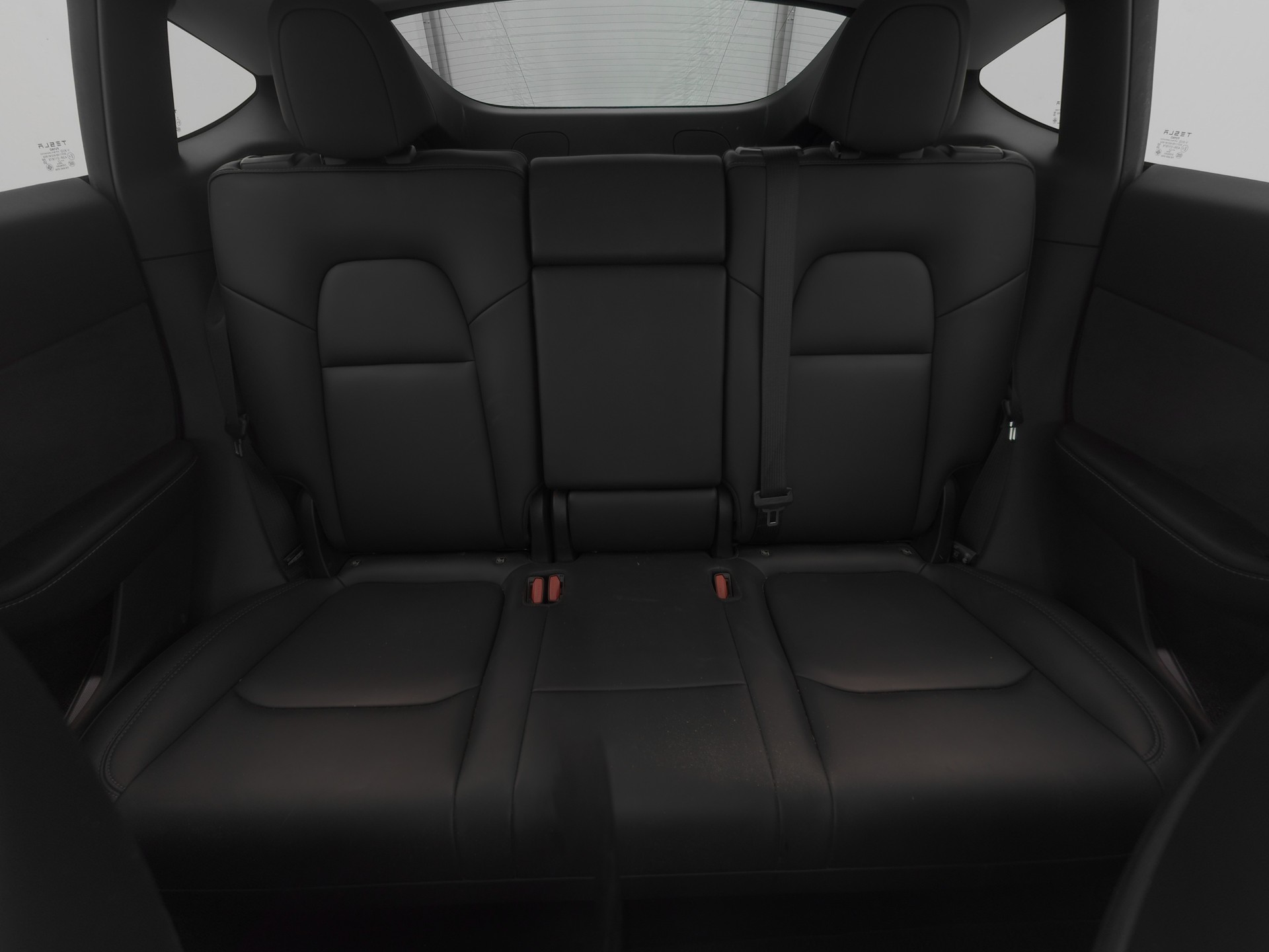TESLA Model Y Rear-Wheel Drive-image-10