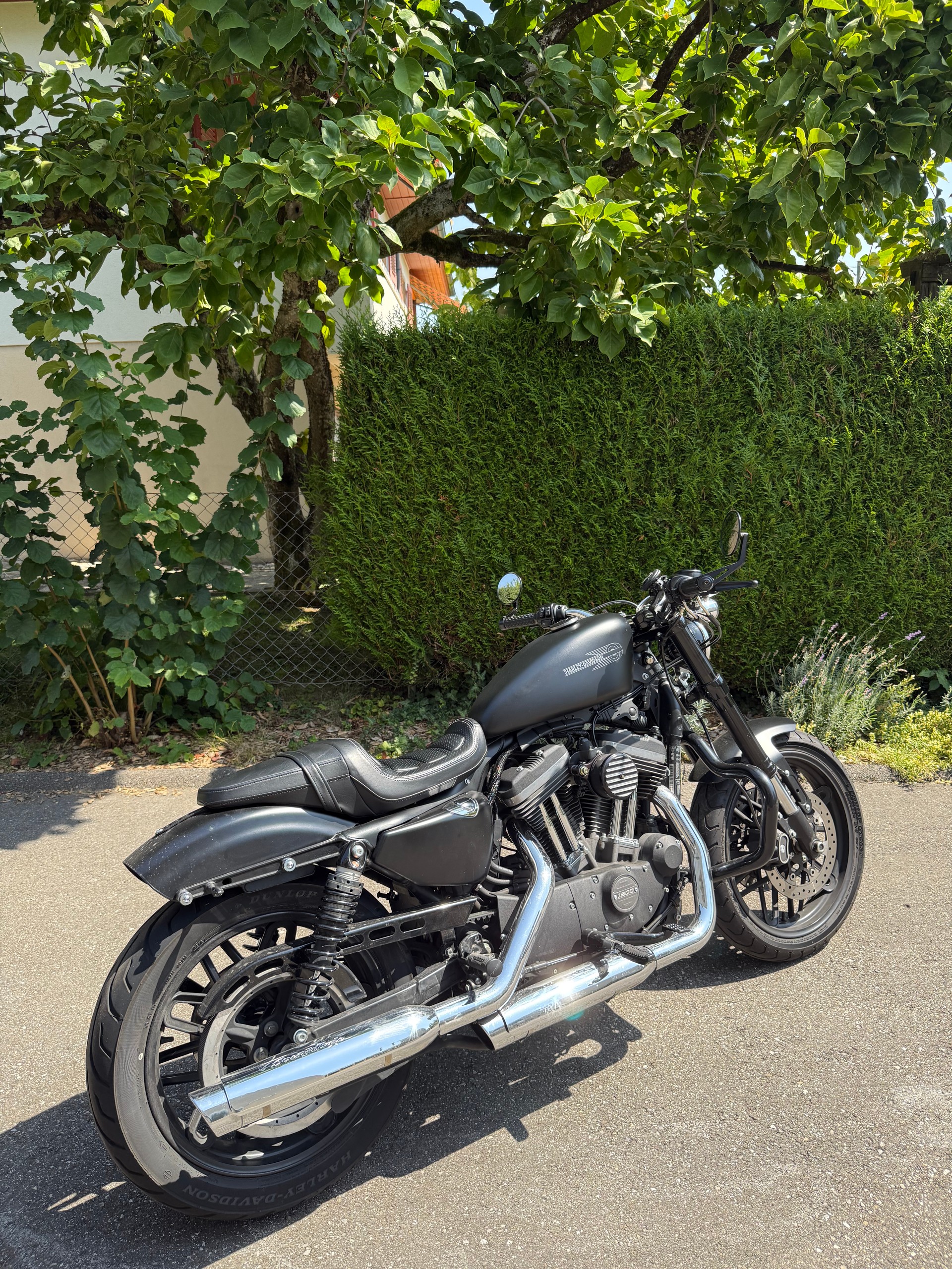 HARLEY-DAVIDSON XL 1200 CX Sportster Roadster ABS-image-4