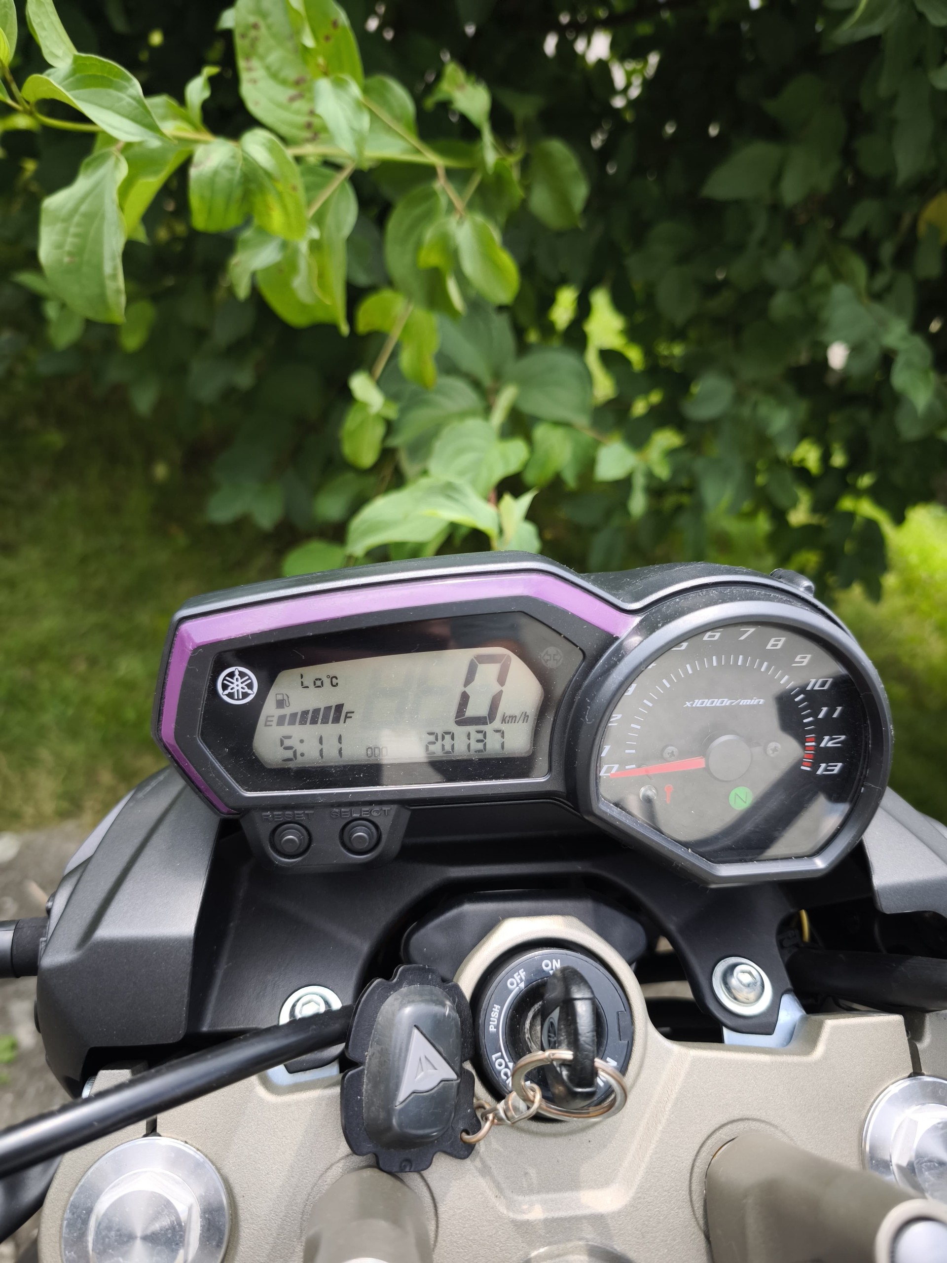 YAMAHA XJ 6 N ABS-image-3