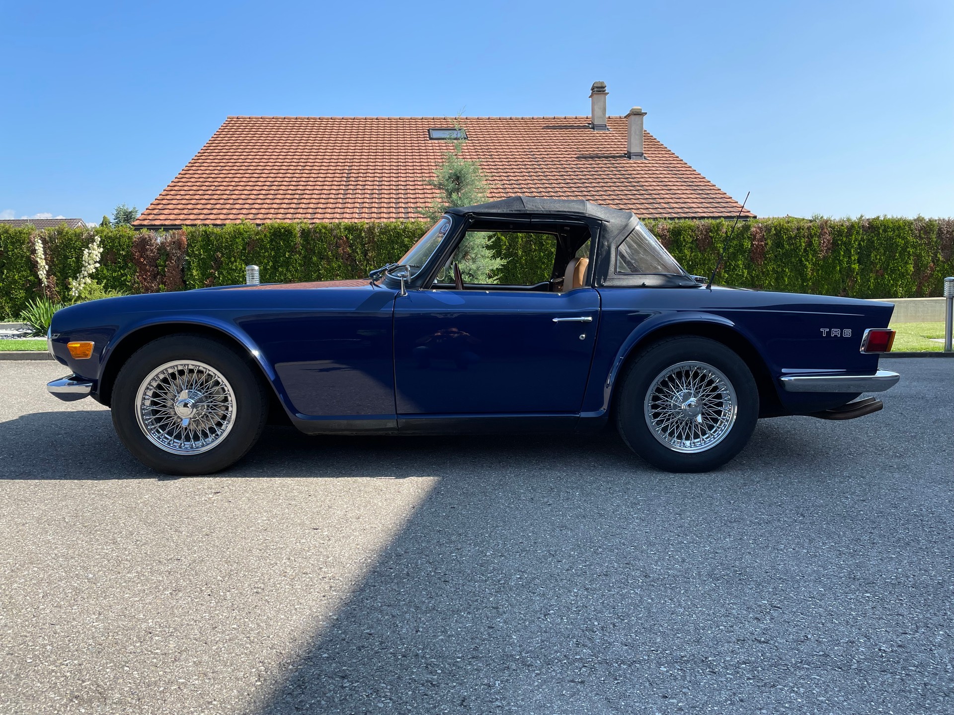TRIUMPH TR6