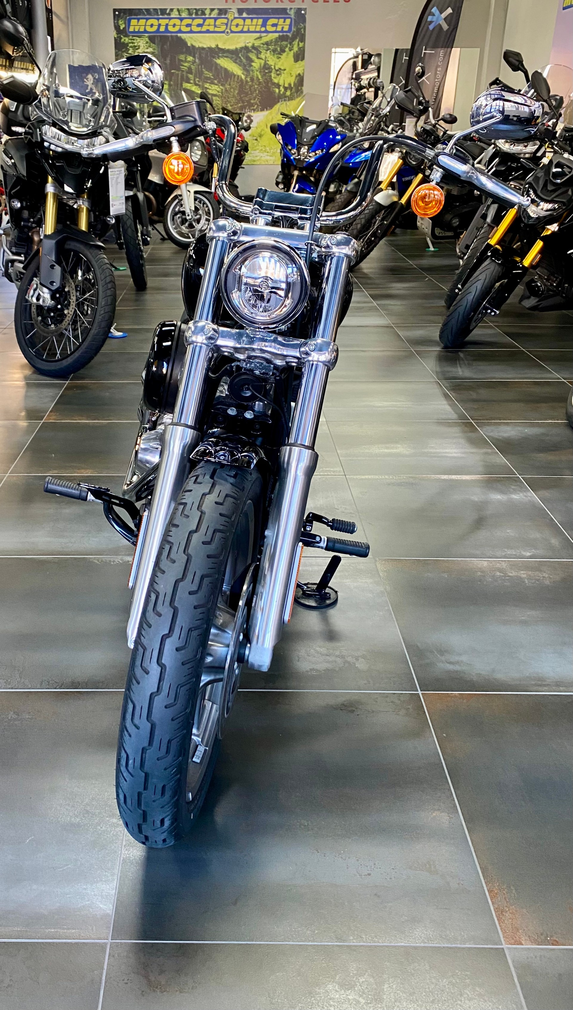 HARLEY-DAVIDSON FXST Softail Standard 107-image-1