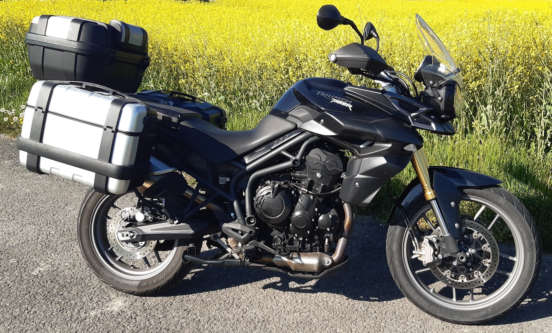 TRIUMPH Tiger 800 ABS-image-0