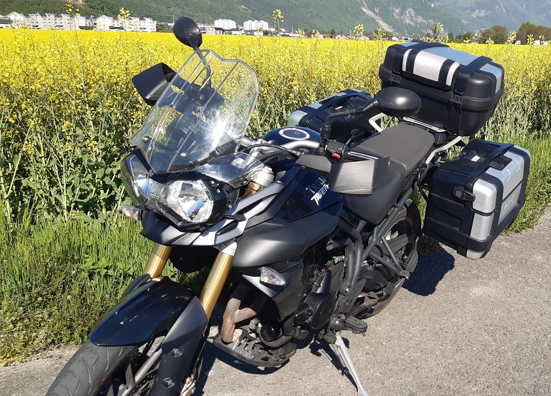TRIUMPH Tiger 800 ABS-image-3